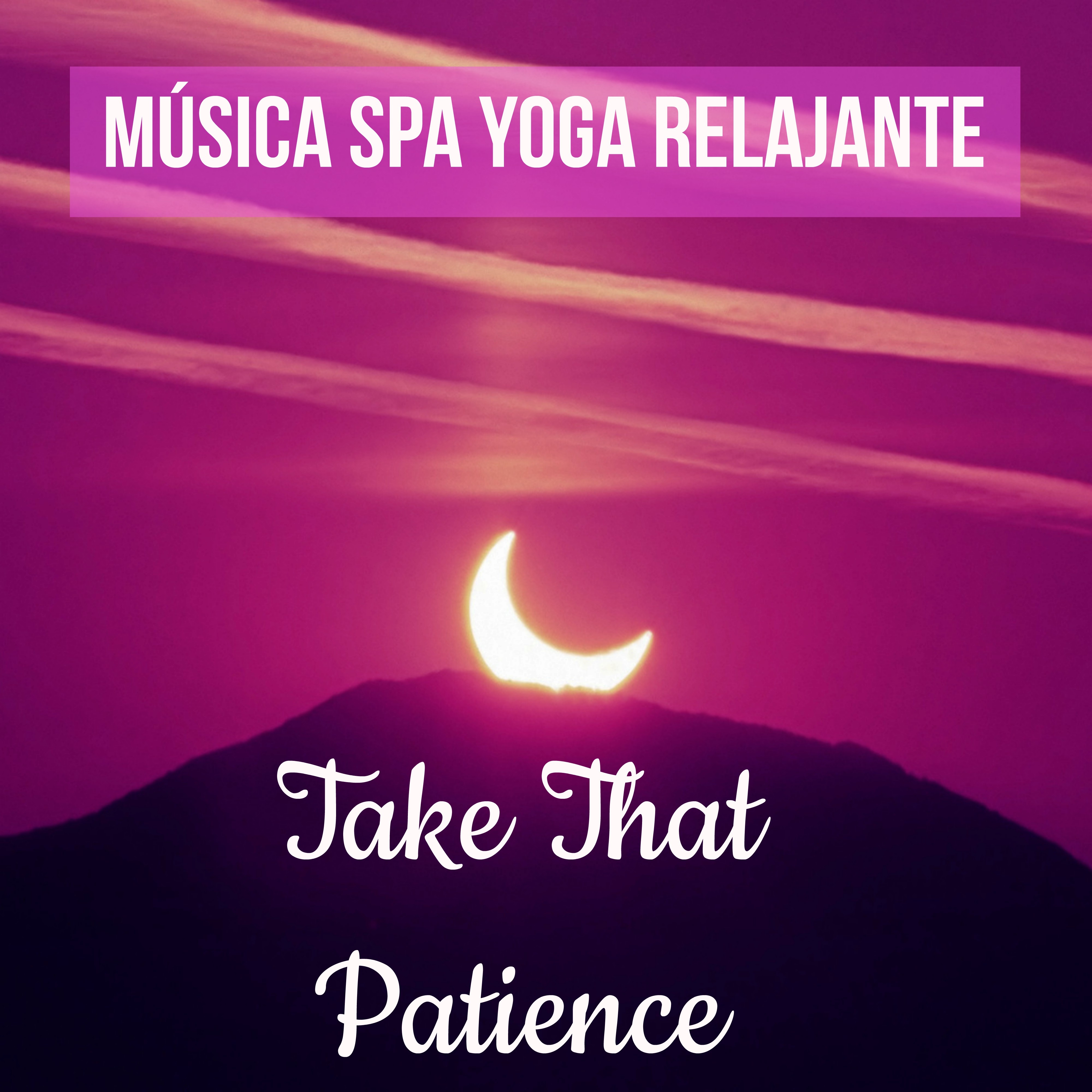 Take That Patience  Mu sica Spa Yoga Relajante para Controlar la Ansiedad Mente Sana Atitud Positiva con Sonidos Instrumentales New Age Bienestar