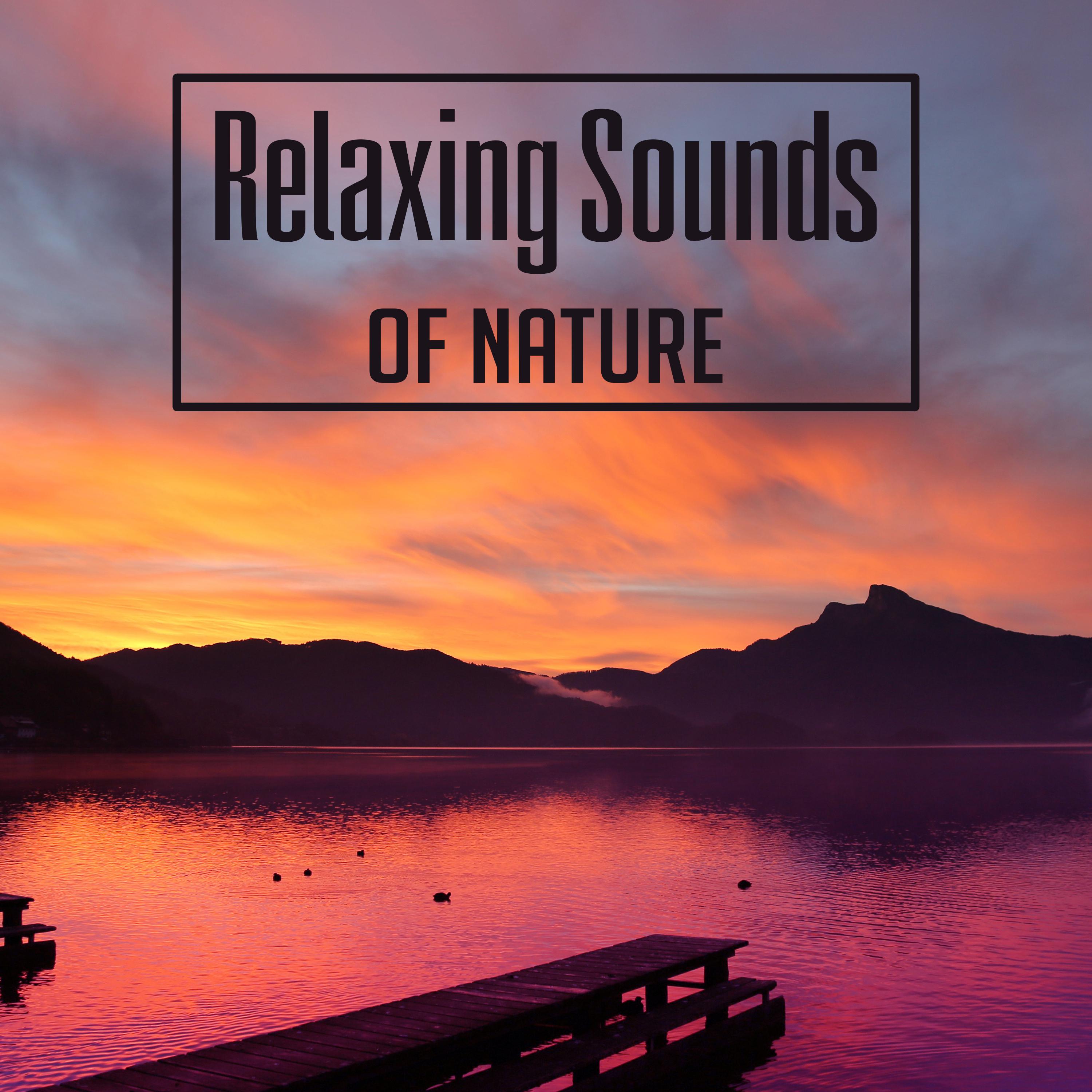 Relaxing Sounds of Nature  Soothing Sounds, New Age Relaxation, Mind Calmness, Chill Yourself