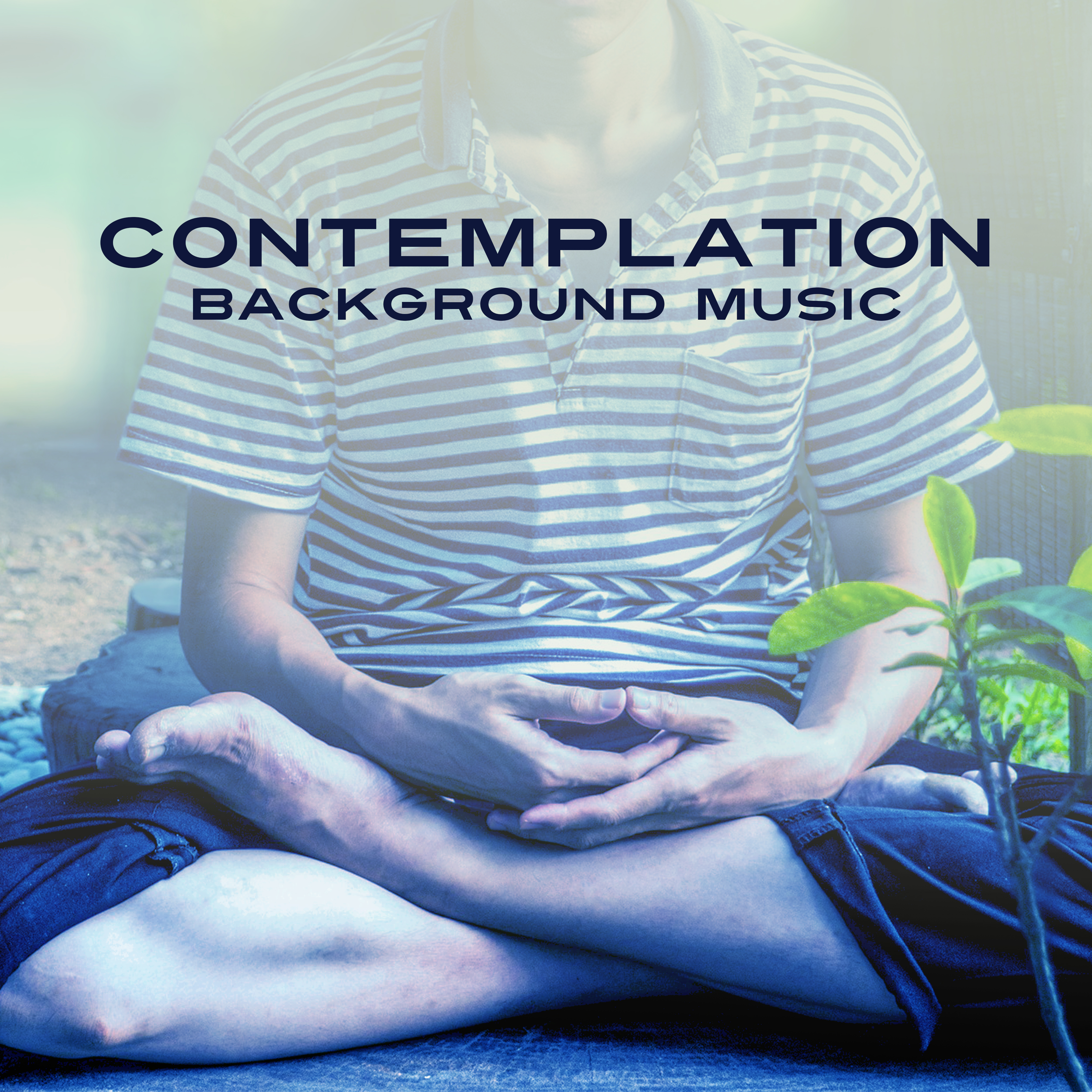 Contemplation Background Music  Yoga Music, Deep Meditation, Zen Garden Meditation, Yoga Background, Music for Meditate