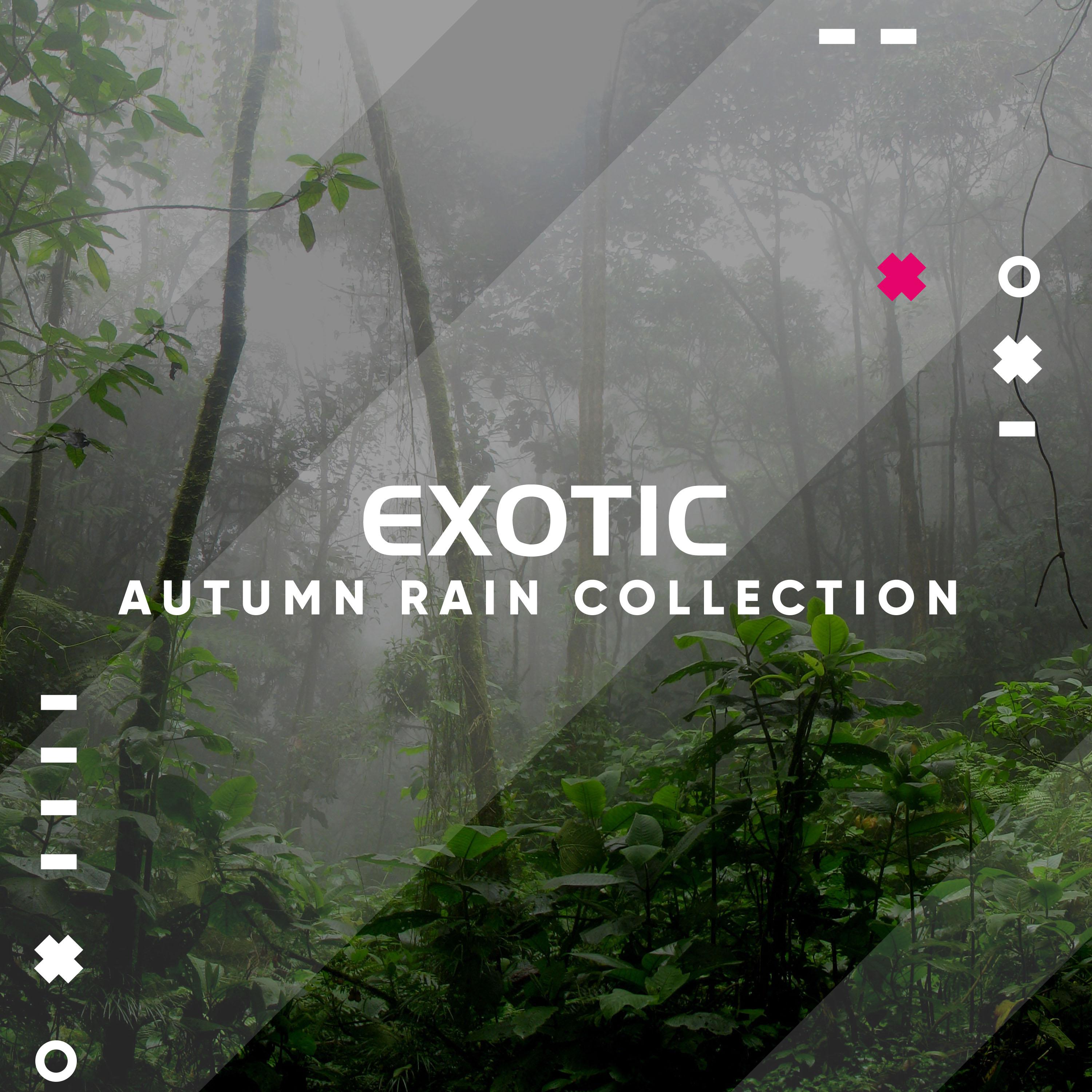 #10 Exotic Autumn Rain Collection