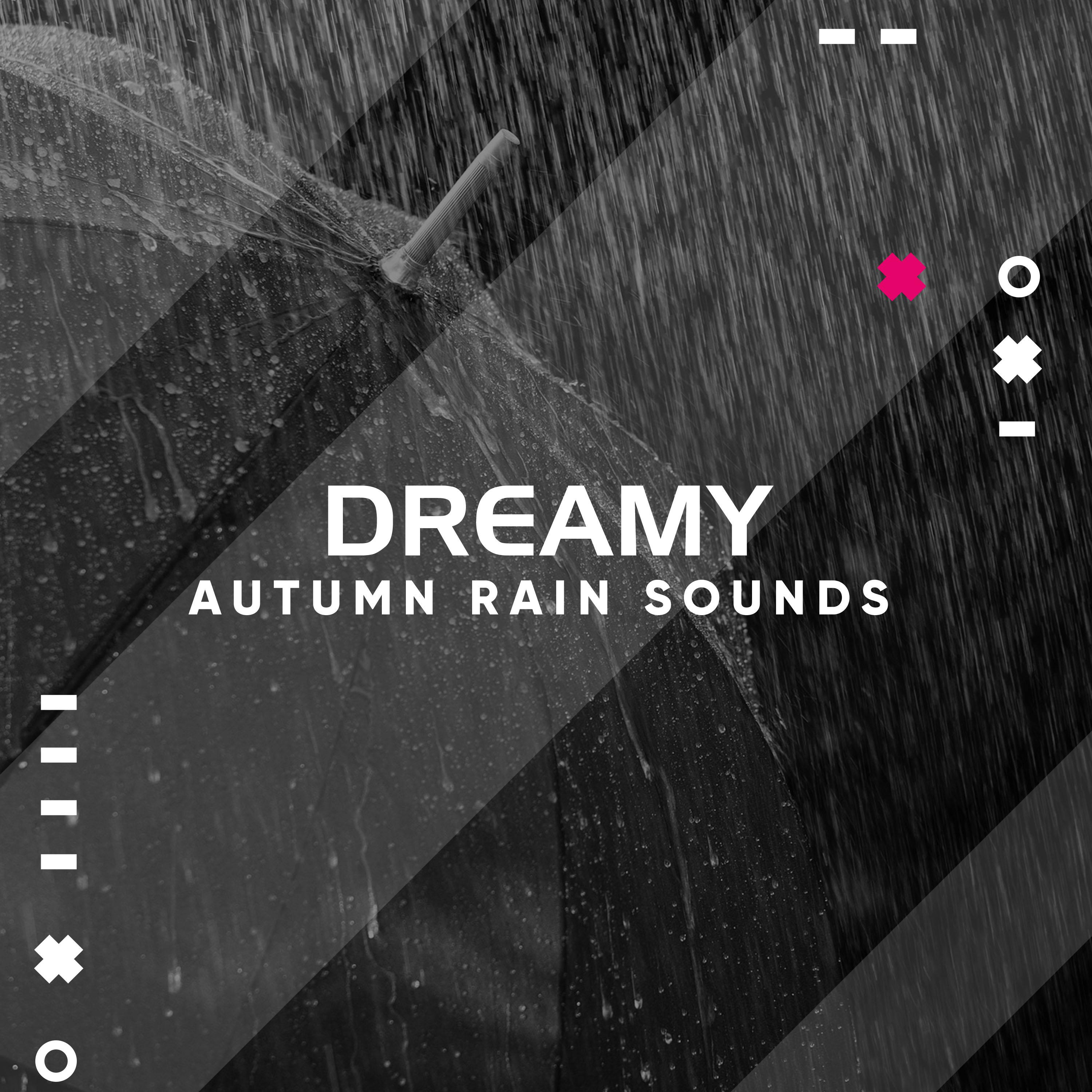 #14 Dreamy Autumn Rain Sounds