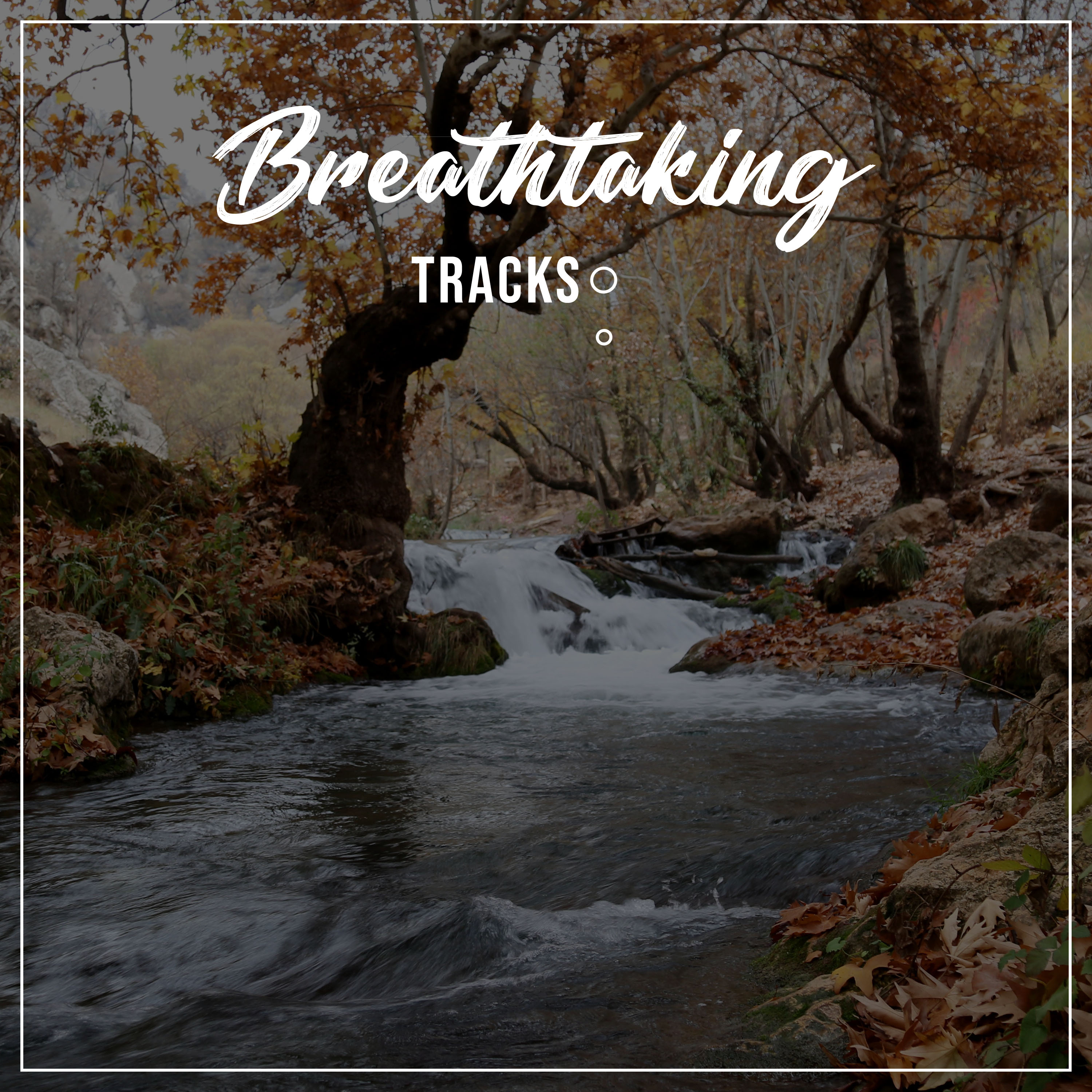 #15 Breathtaking Tracks to Promote Wellness & Chakra Healing