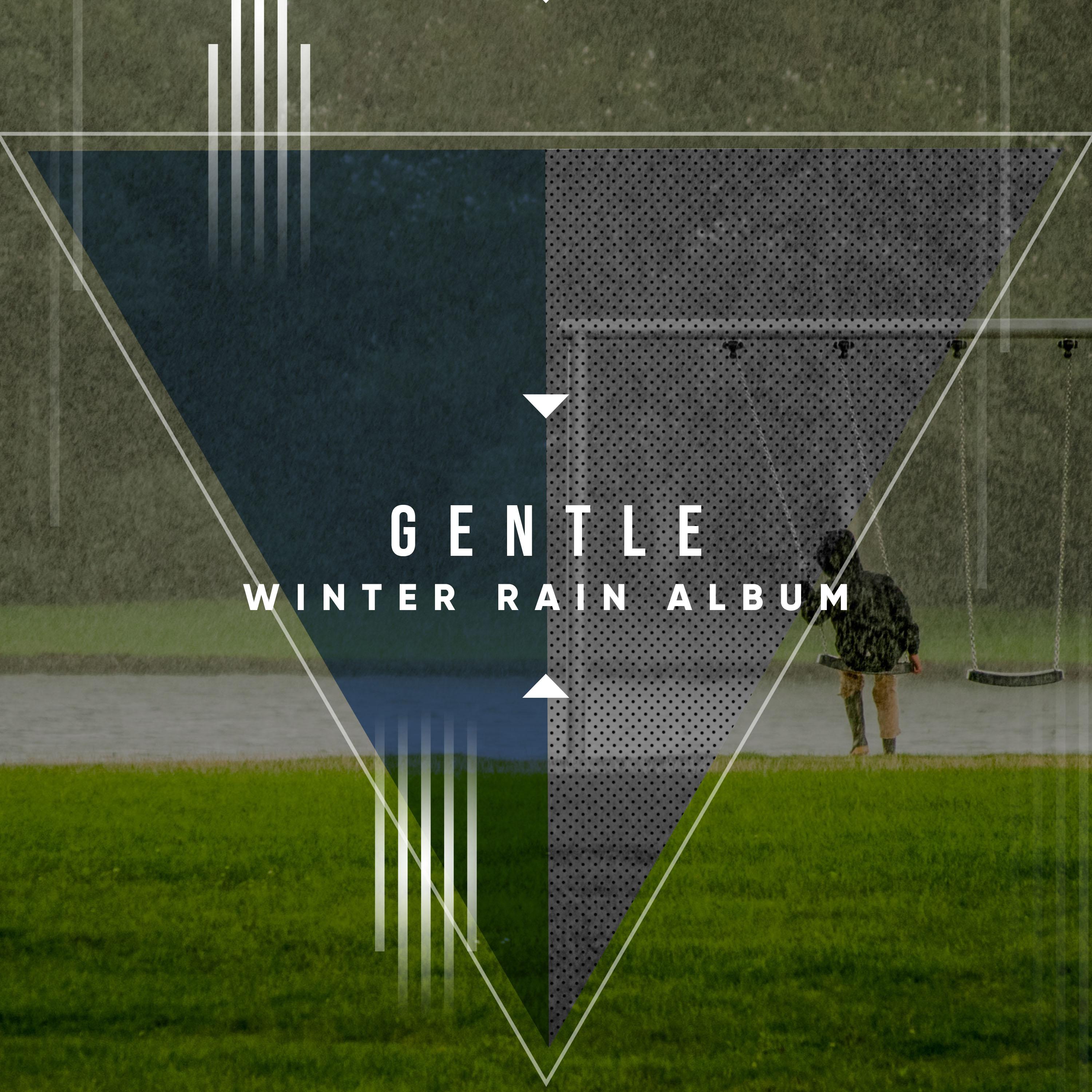 #1 Hour of Gentle Winter Rain Album