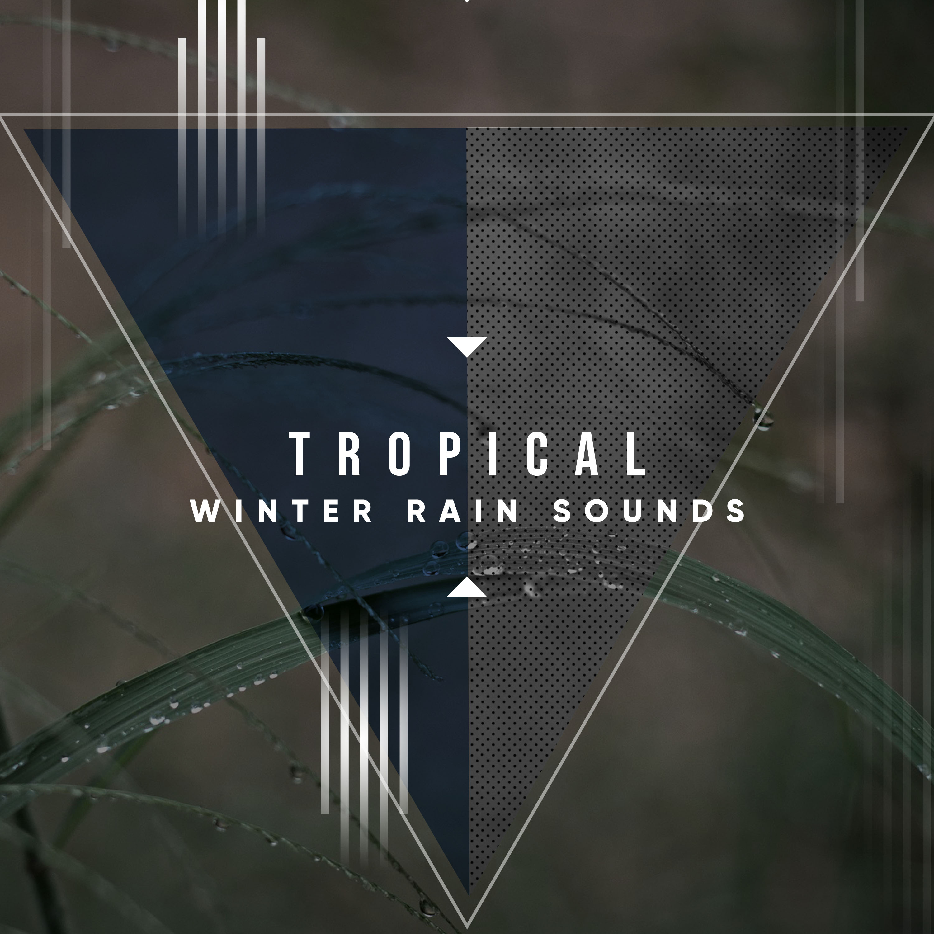 #1 Hour of Tropical Winter Rain Sounds