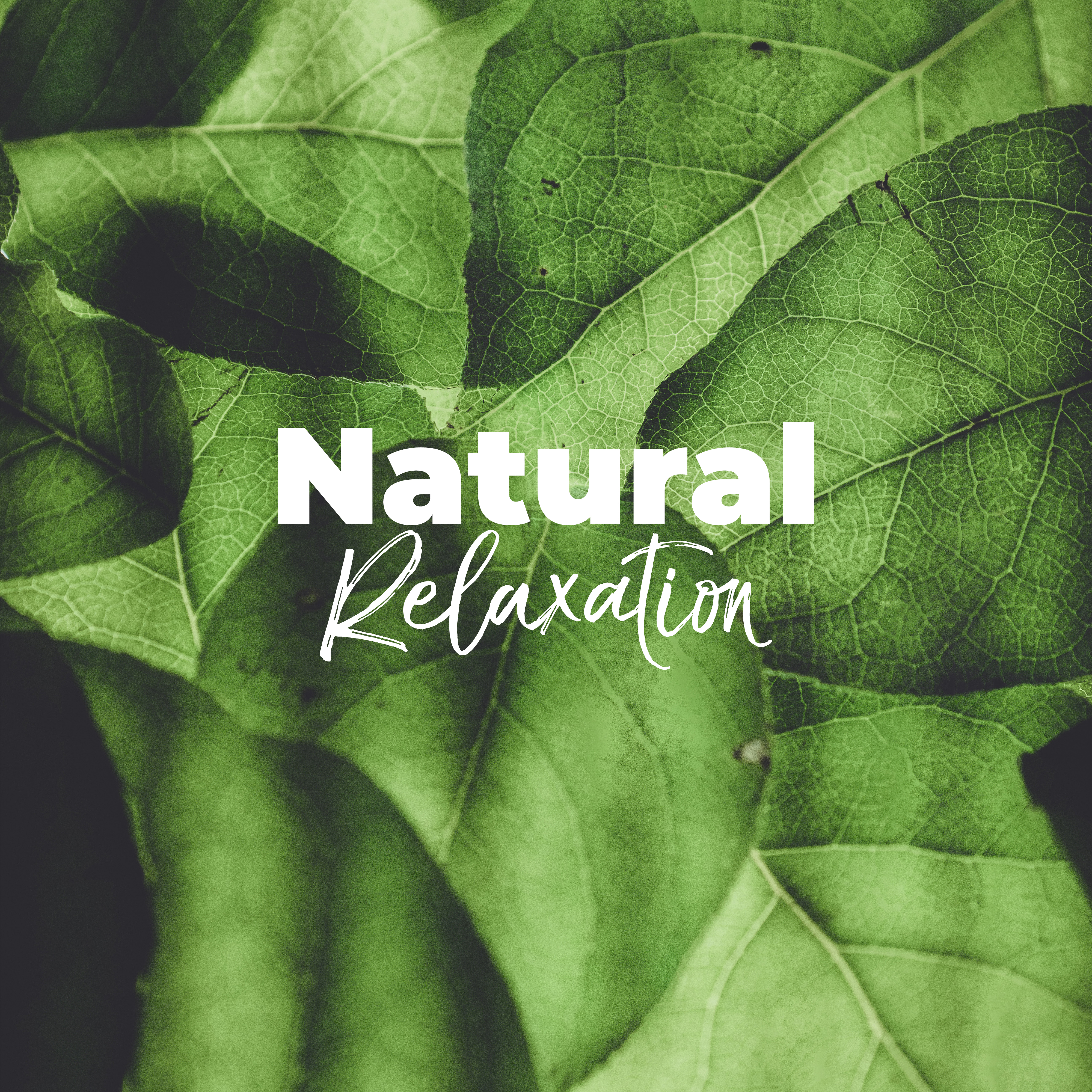 Natural Relaxation: Music for Rest