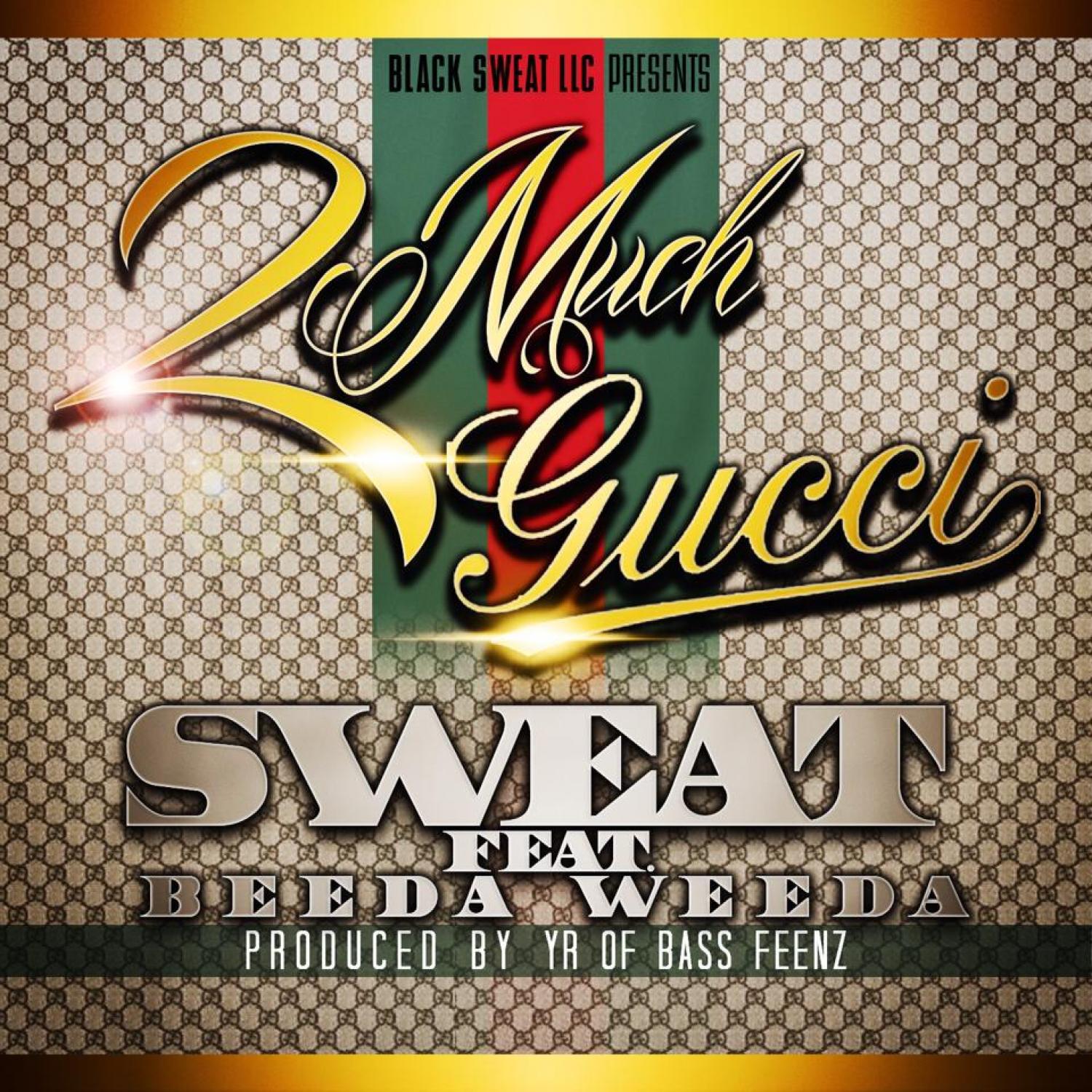 Too Much Gucci (feat. Beeda Weeda) - Single