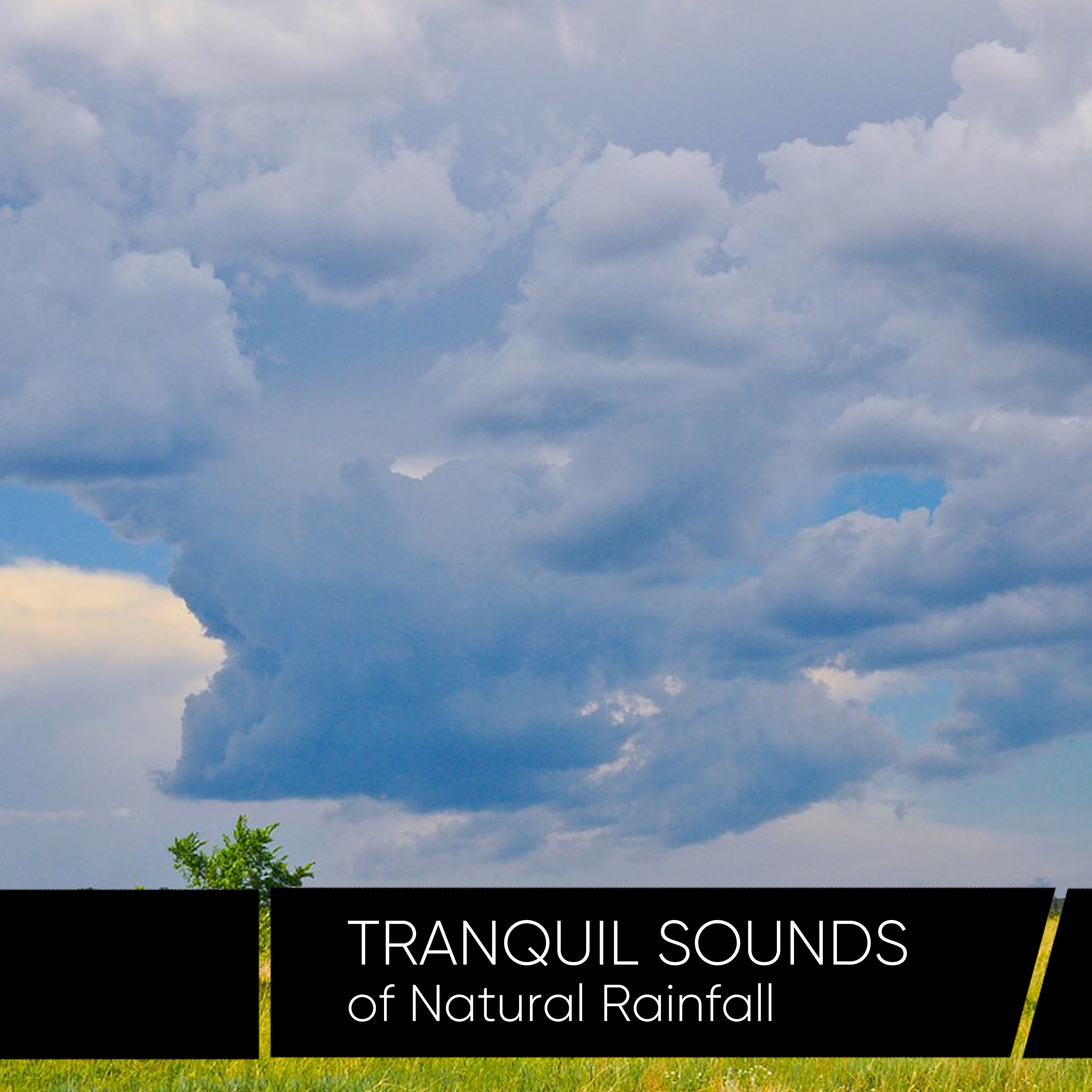Tranquil Sounds of Natural Rainfall