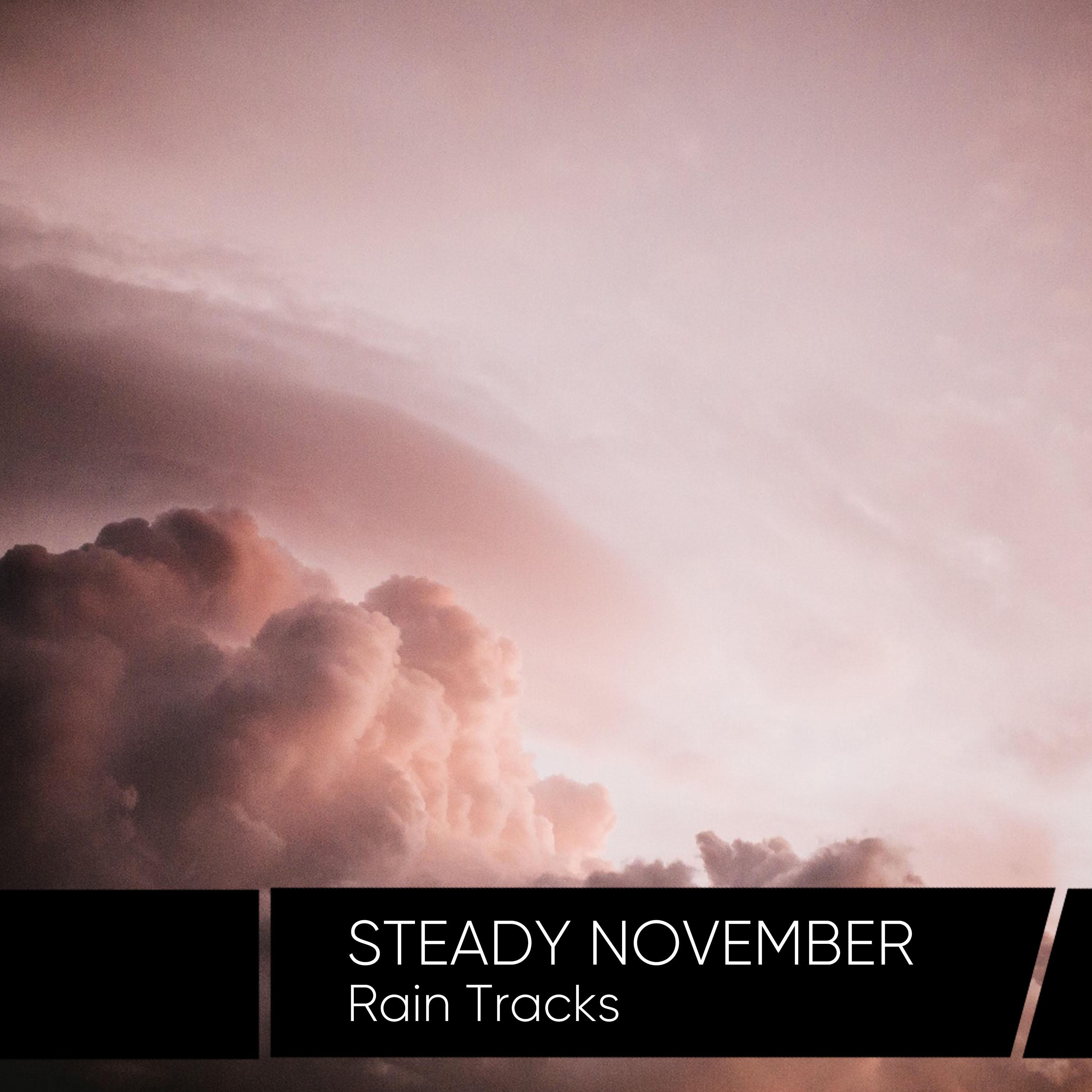 Steady November Rain Tracks