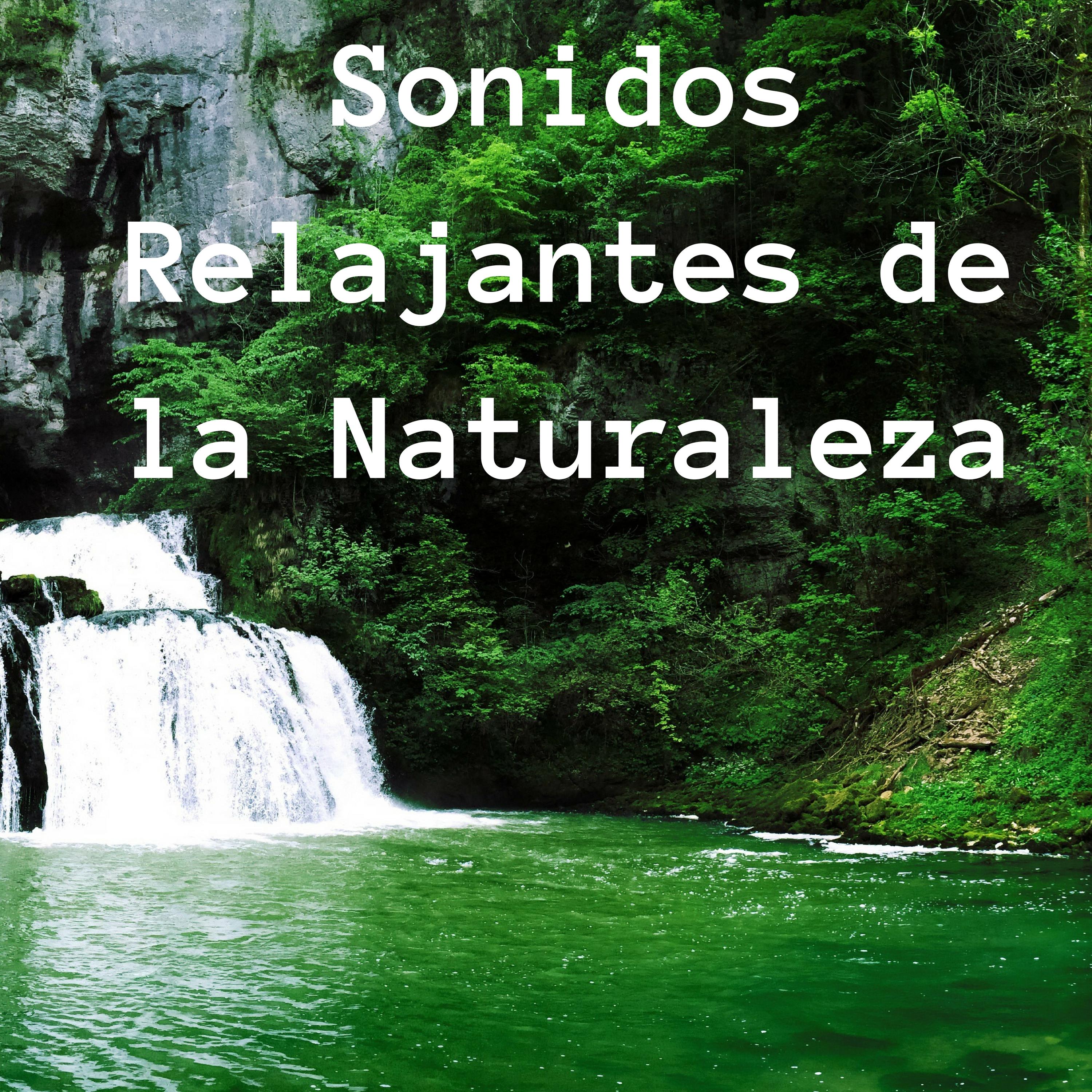 Sonidos Relajantes de la Naturaleza - Composiciones para Desechar los Pensamientos Negativo y Lograr la Paz Emocional