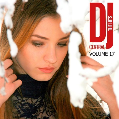 "DJ Central - The Hits, Vol. 17"