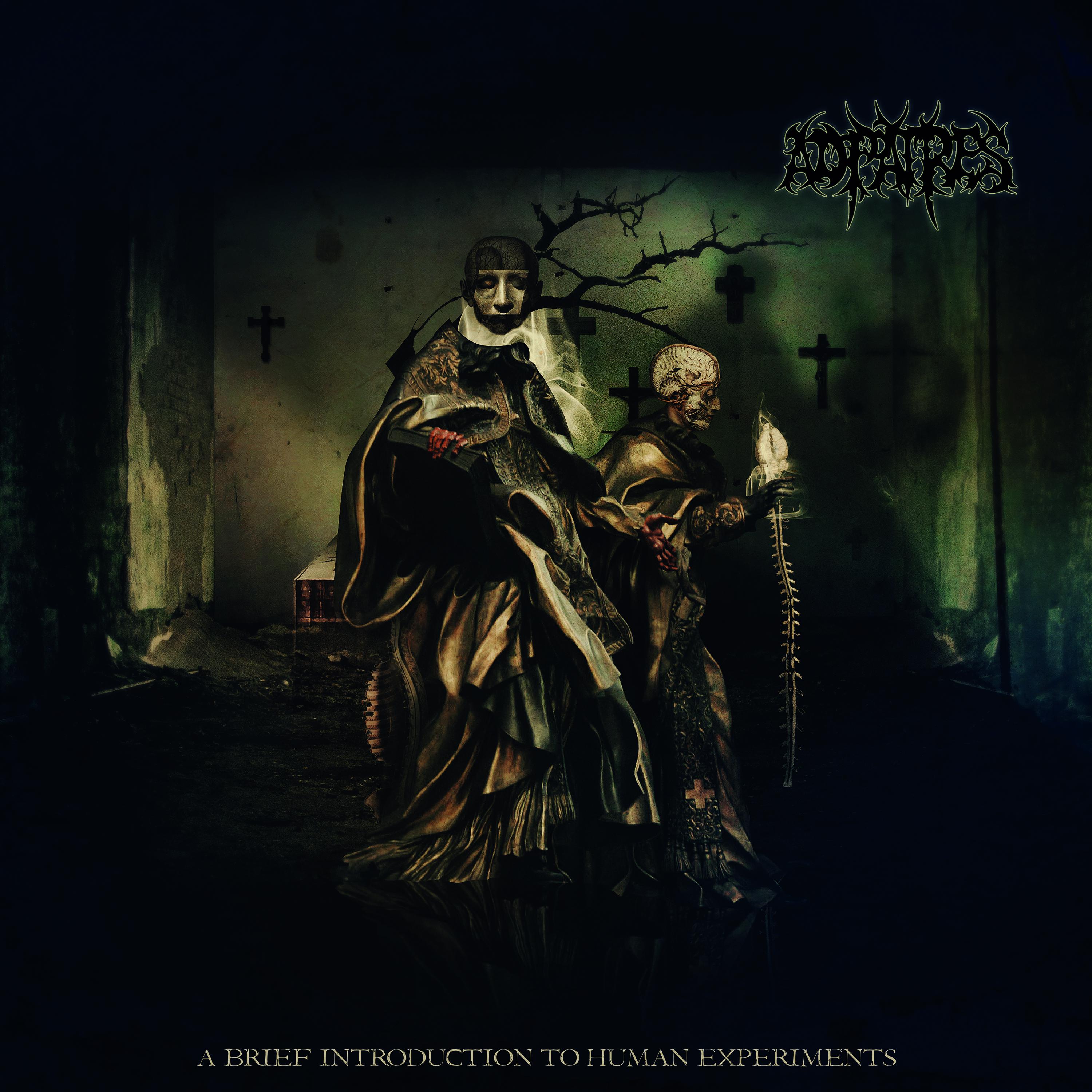 A Brief Introduction to Human Experiments