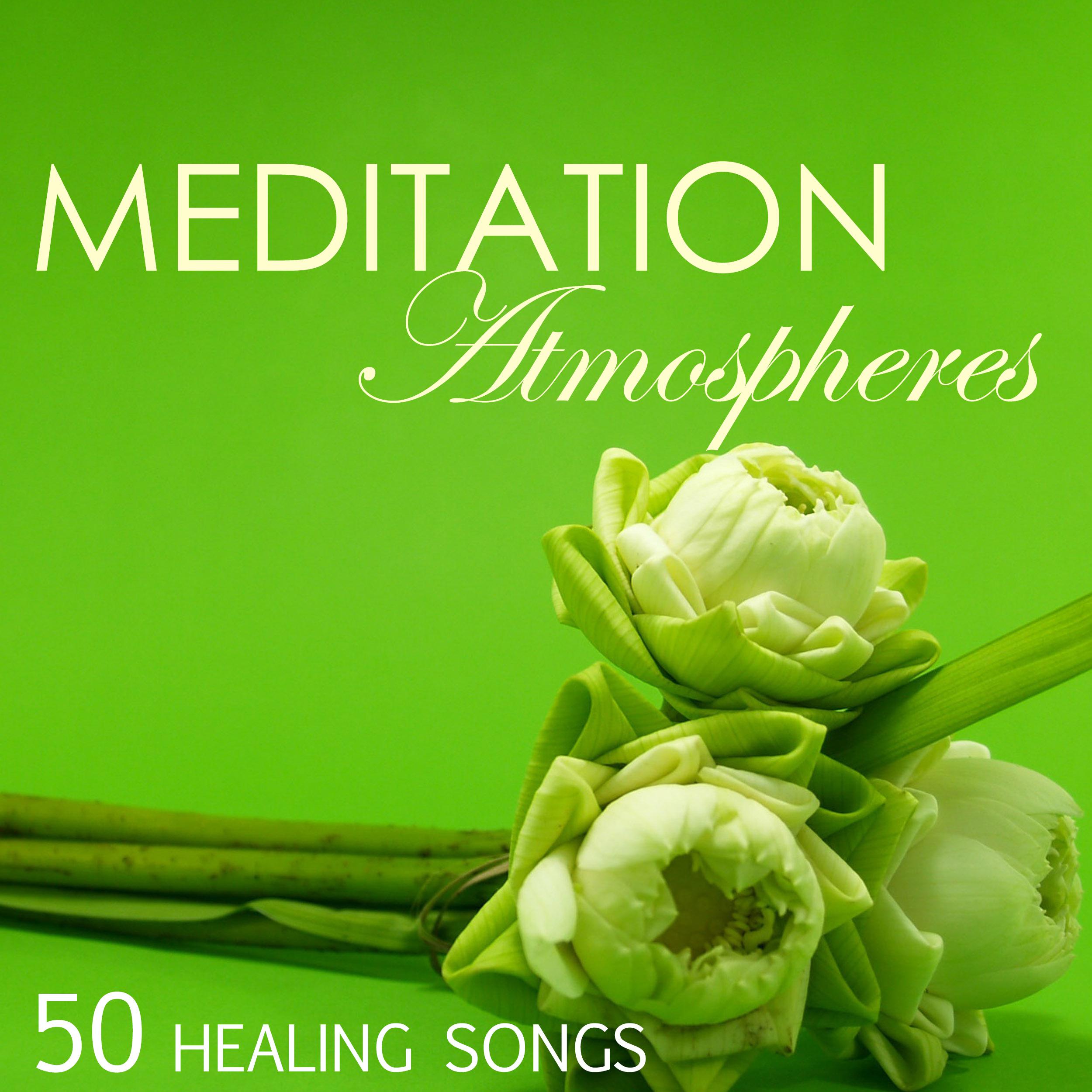 Meditation Atmospheres 50 - Healing Songs for Achieving Mindful State of Mind, Lucid Dream Collection