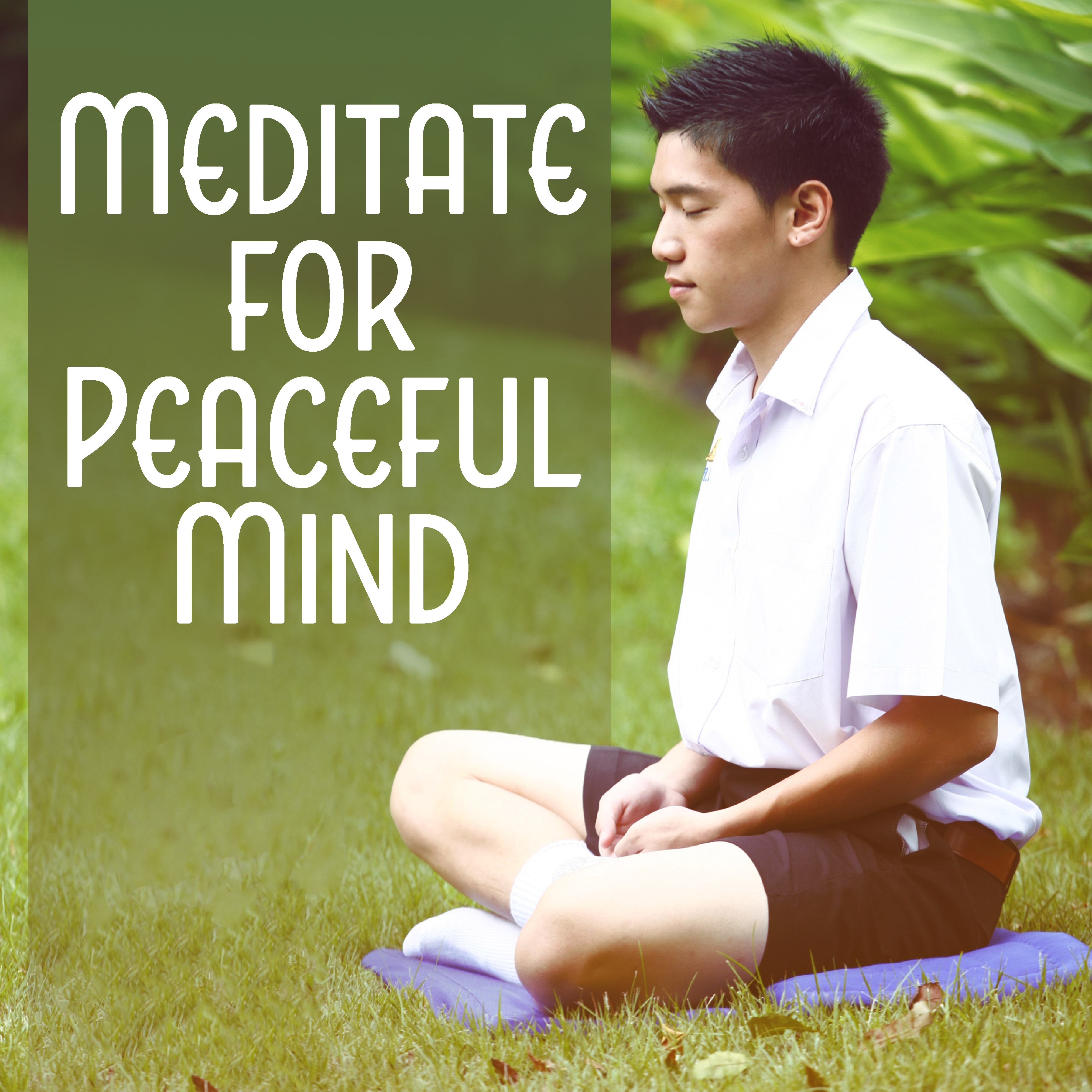 Meditate for Peaceful Mind  Calming Buddha Lounge, Mind Control, Easy Listening, Stress Free