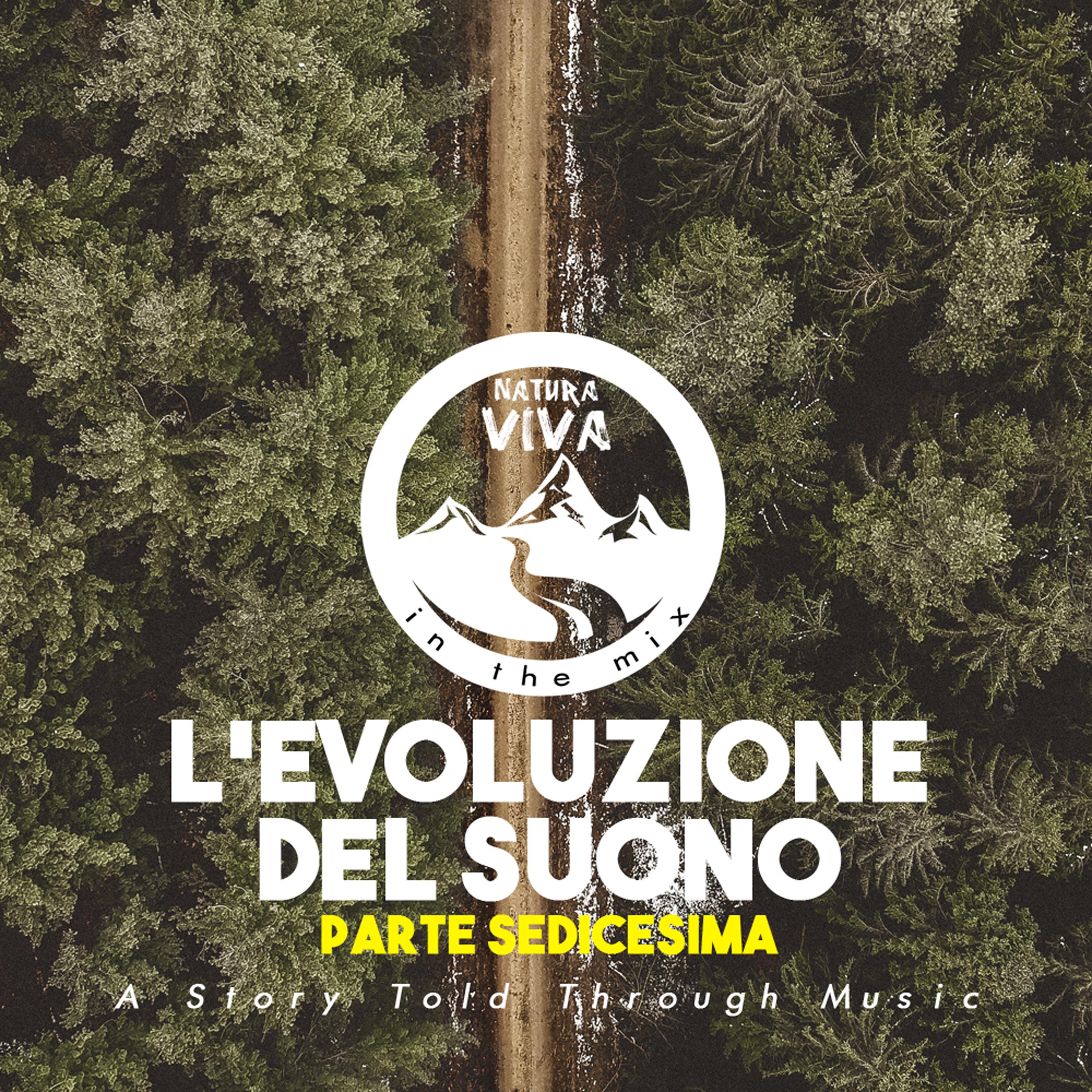 L'Evoluzione Del Suono (Parte Sedicesima)