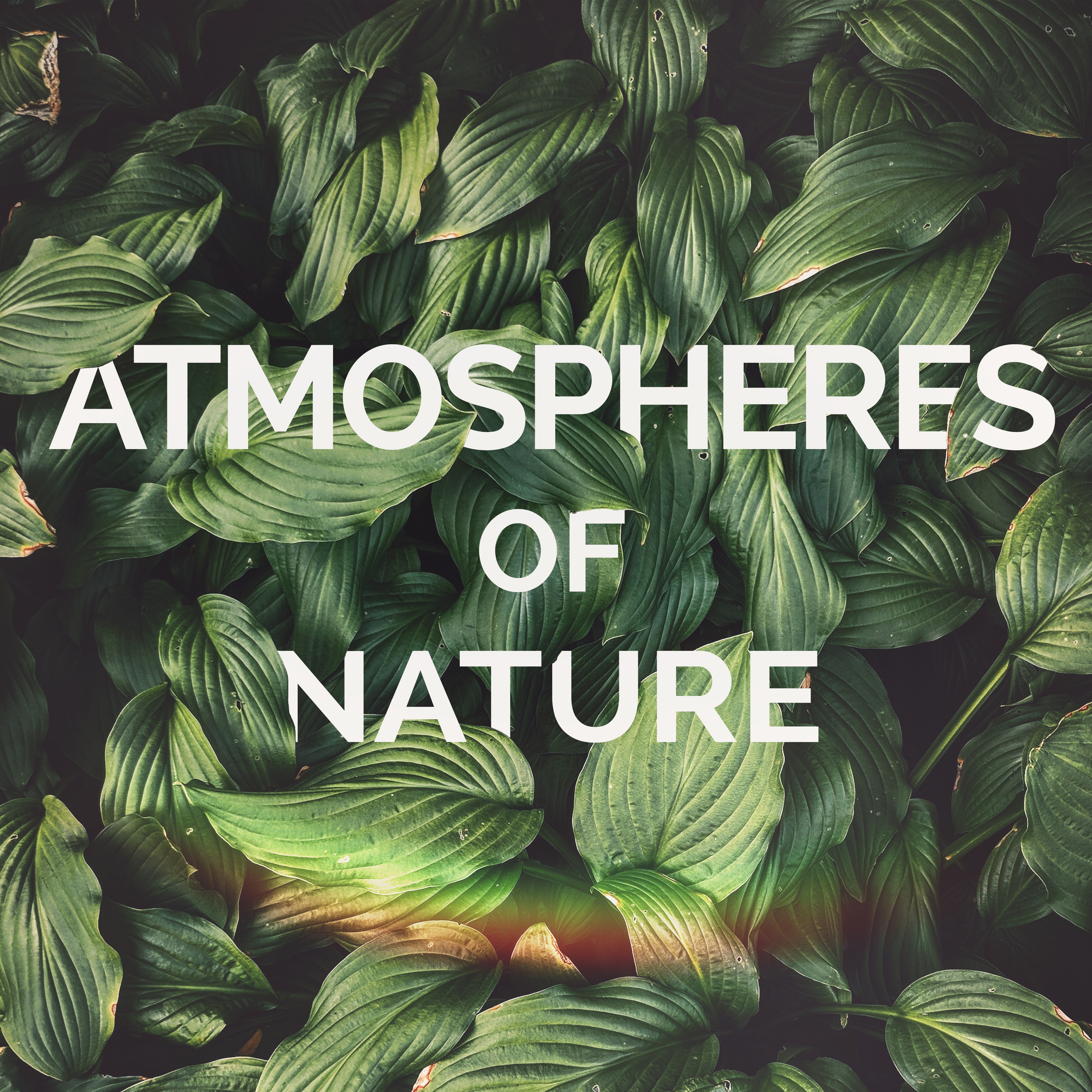 Atmospheres of Nature  Calming Music for Relaxation, Meditation, Spa, Soothing Nature Sounds to Calm Down, Stress Relief