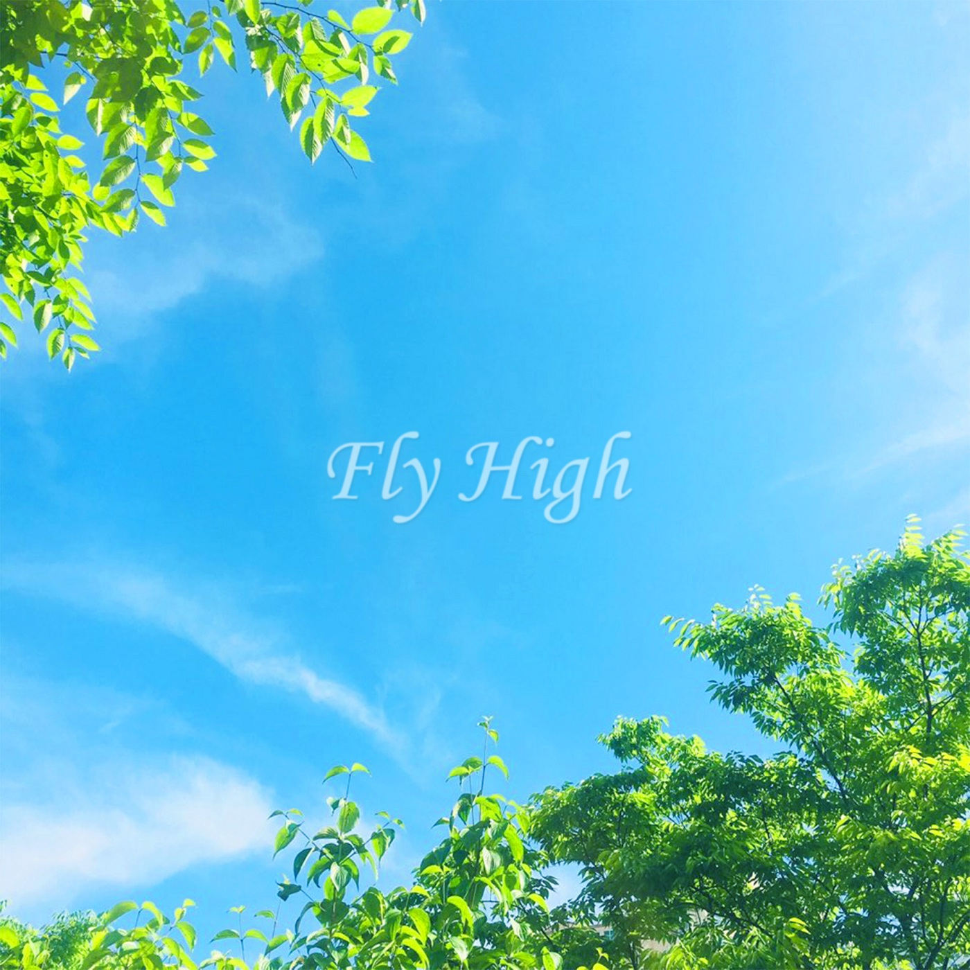 Fly High 