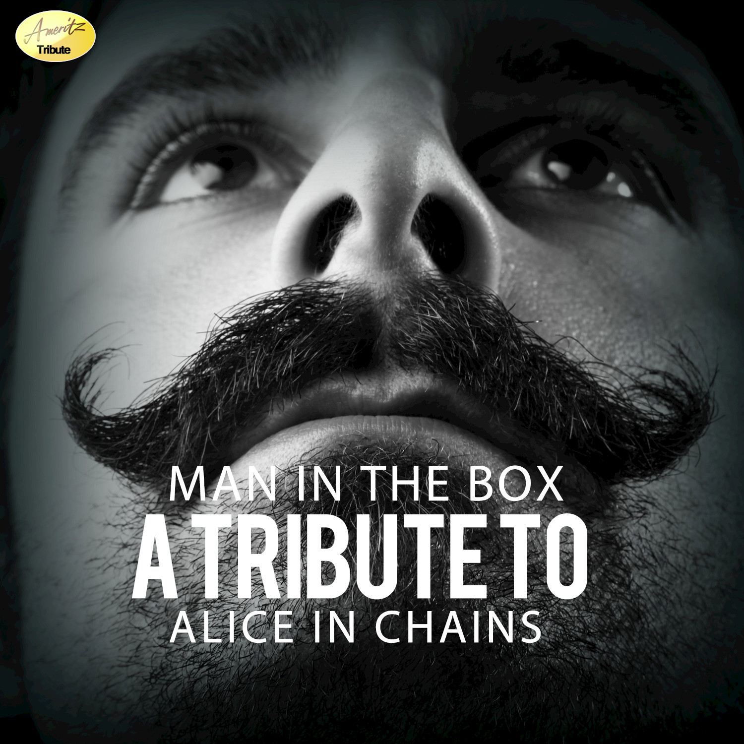 Man in the Box - A Tribute to Alice in Chains