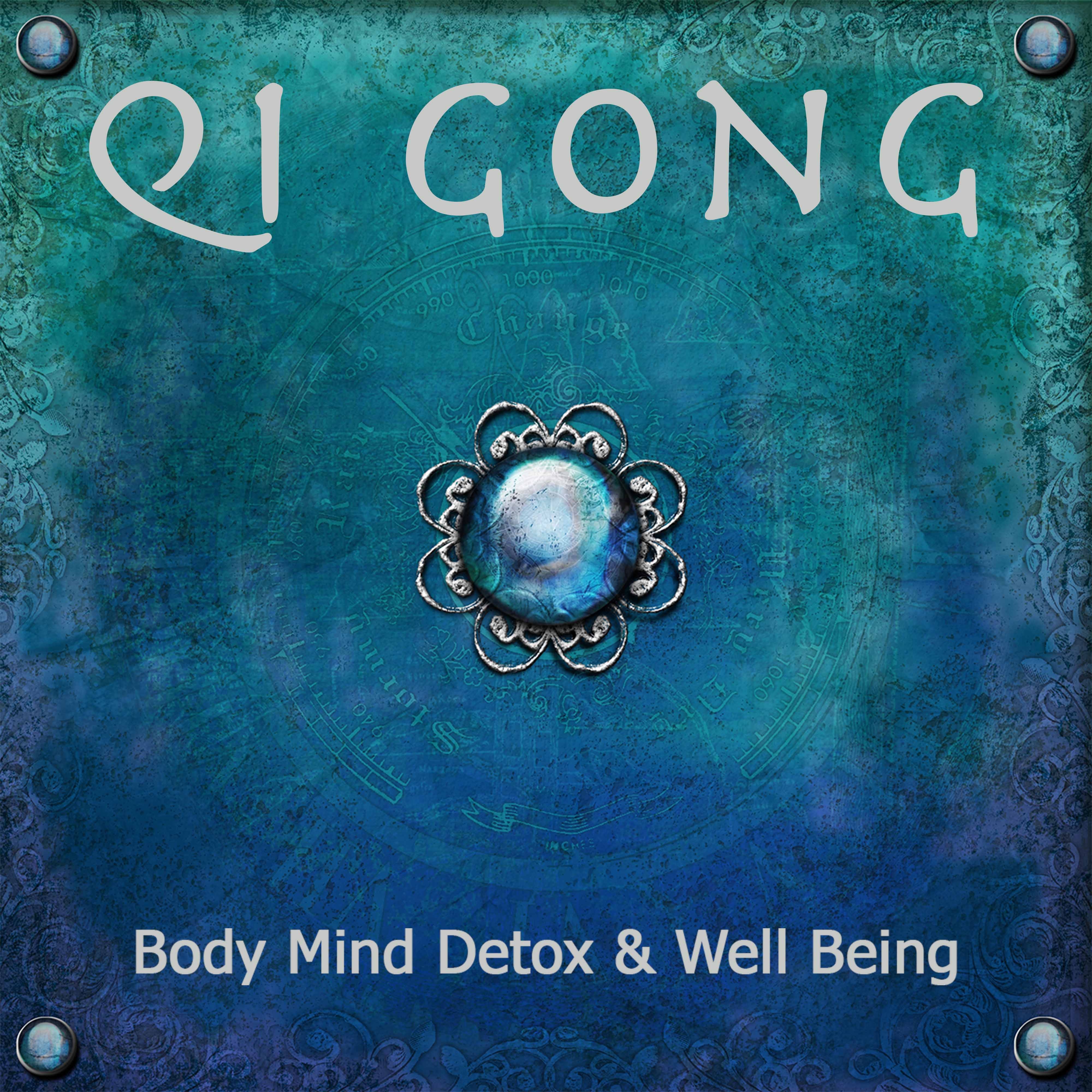 Qi Gong: New Age Soothing Music, Relaxation Meditation Music for Body Mind Detox & Well Being