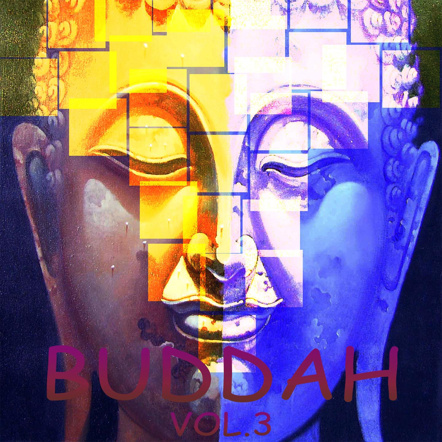 Buddah Vol.3 (The Best in Pure Chill Out, Lounge, Ambient)