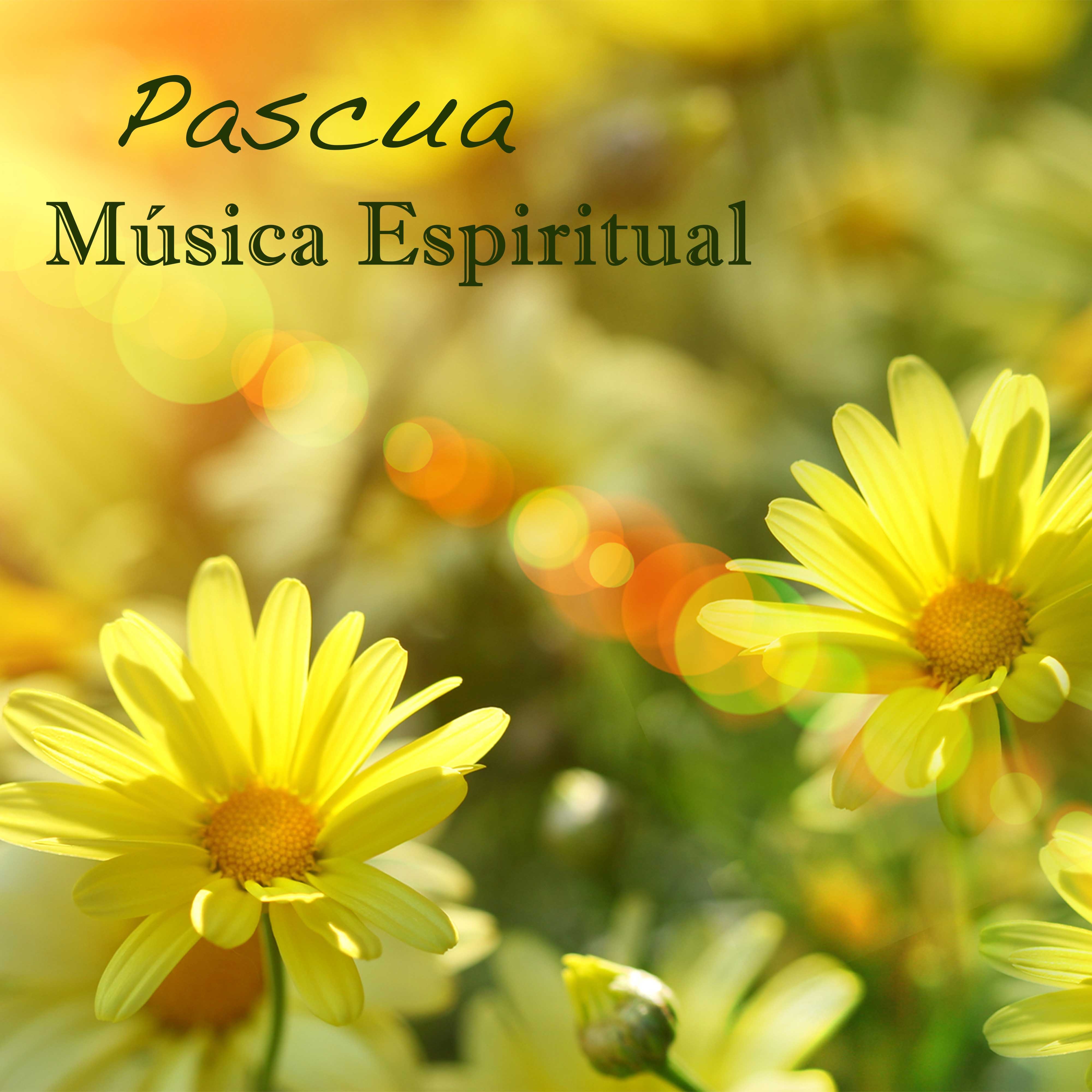 Pascua, Mu sica Espiritual: Mu sica Relajante de Piano  Violonchelo para la Espiritualidad