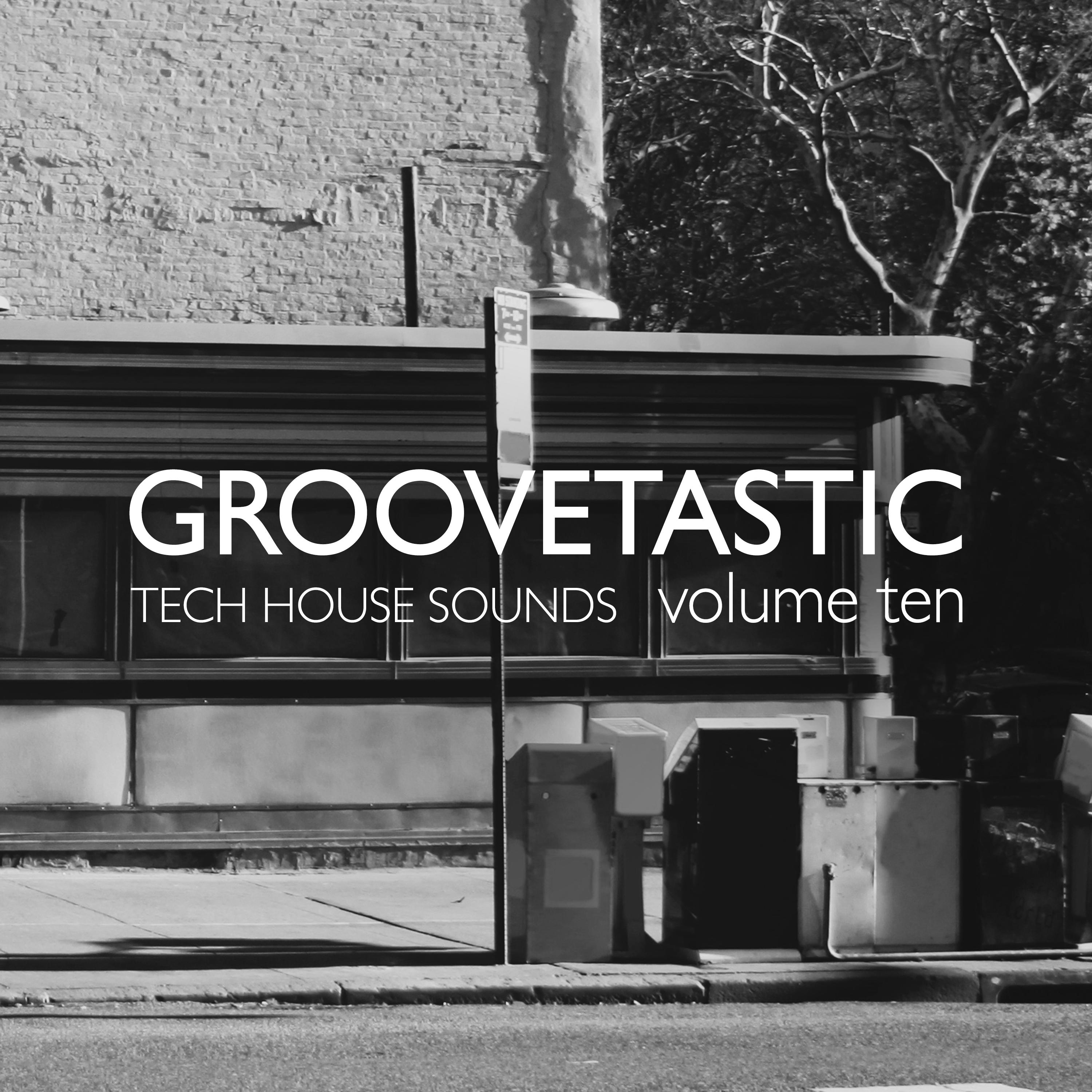 Groovetastic, Vol. 10 - Tech House Sounds