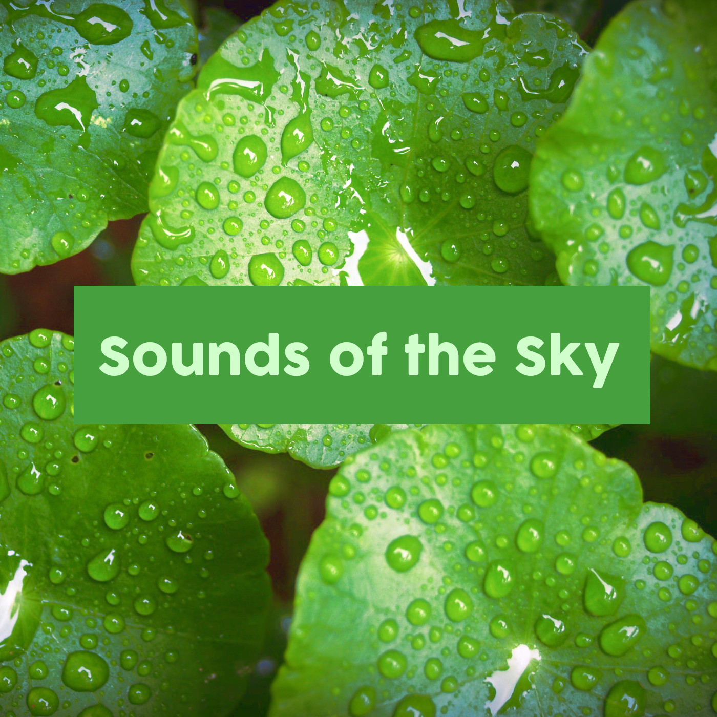 Sounds of the Sky