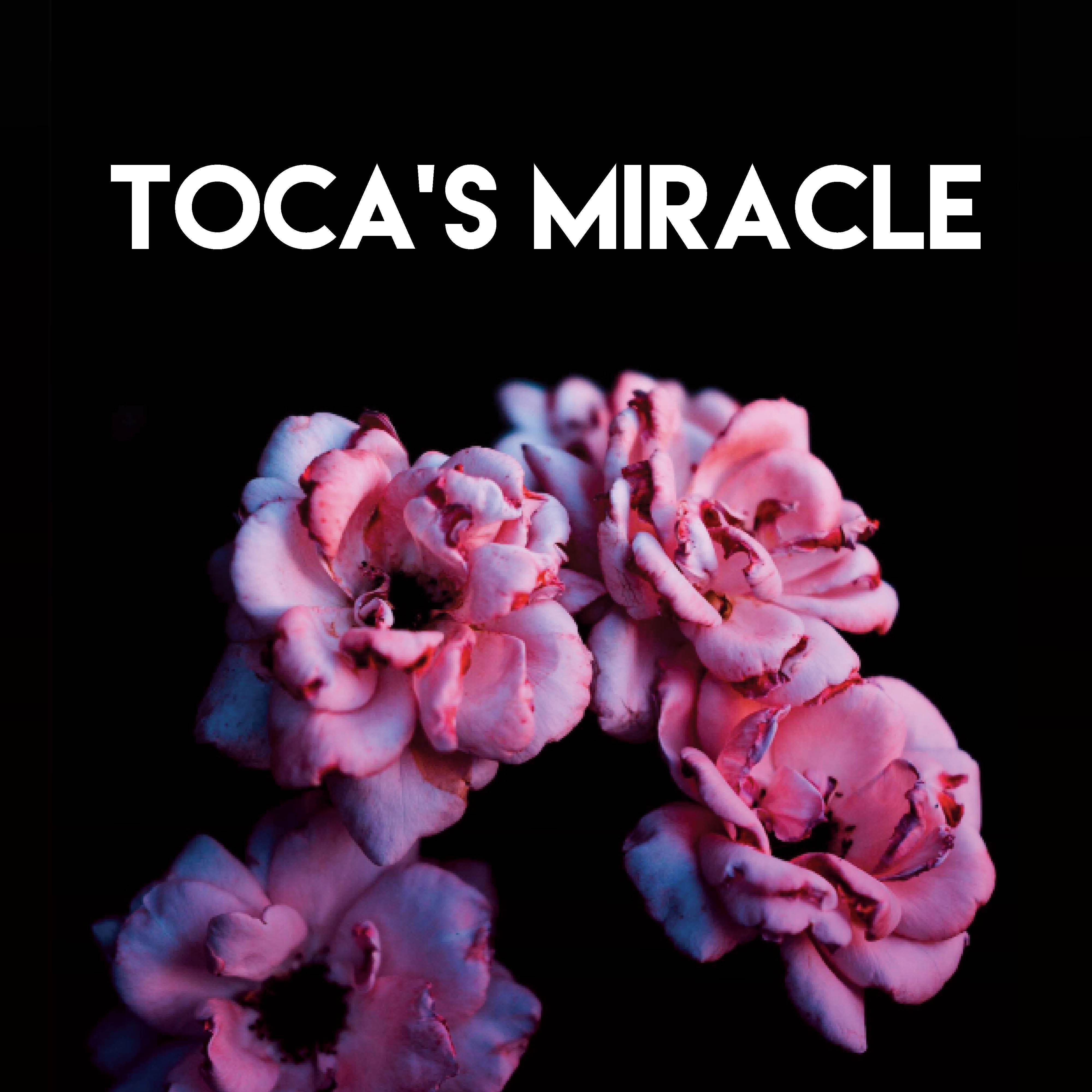 Toca's Miracle