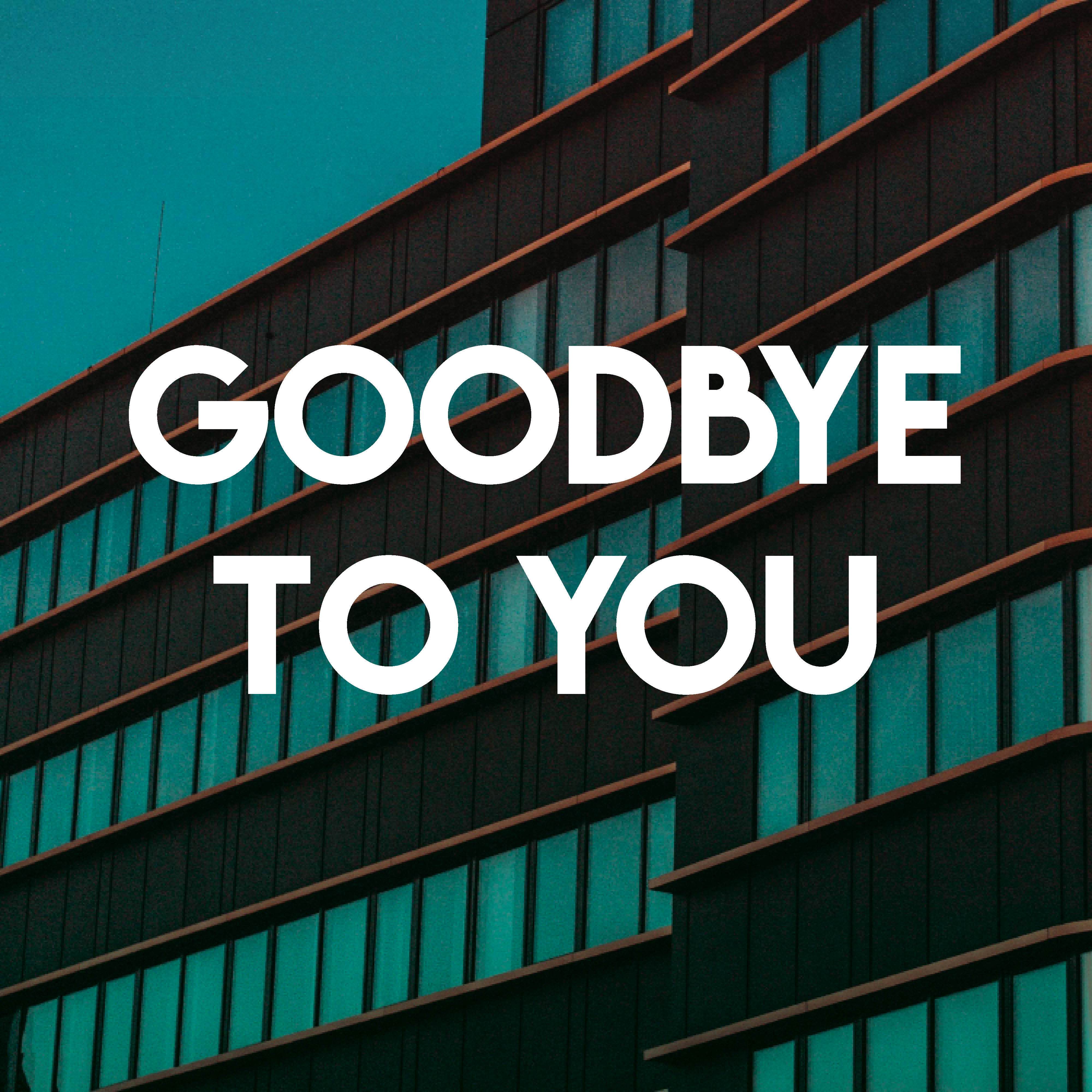 Goodbye to You