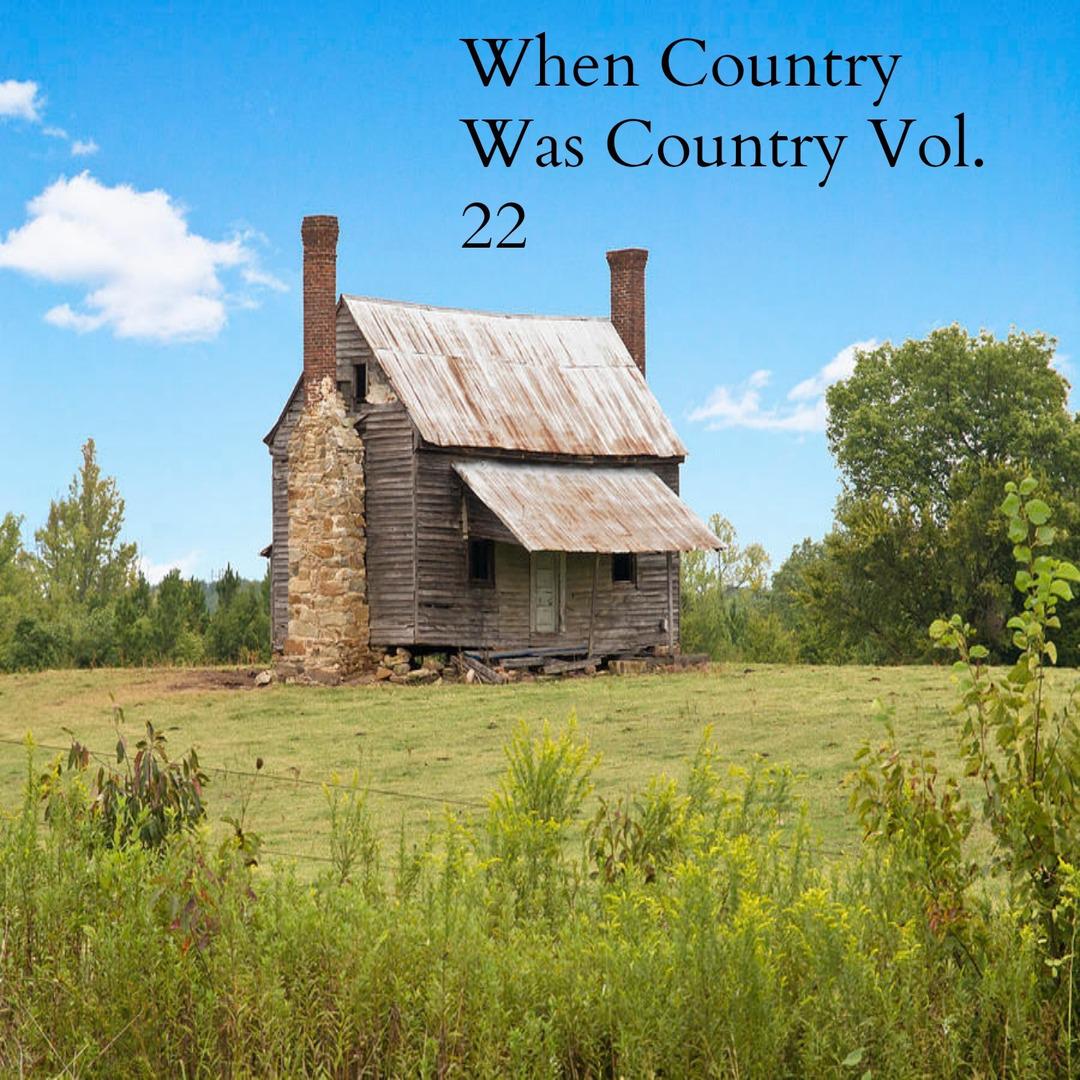 When Country Was Country, Vol.22