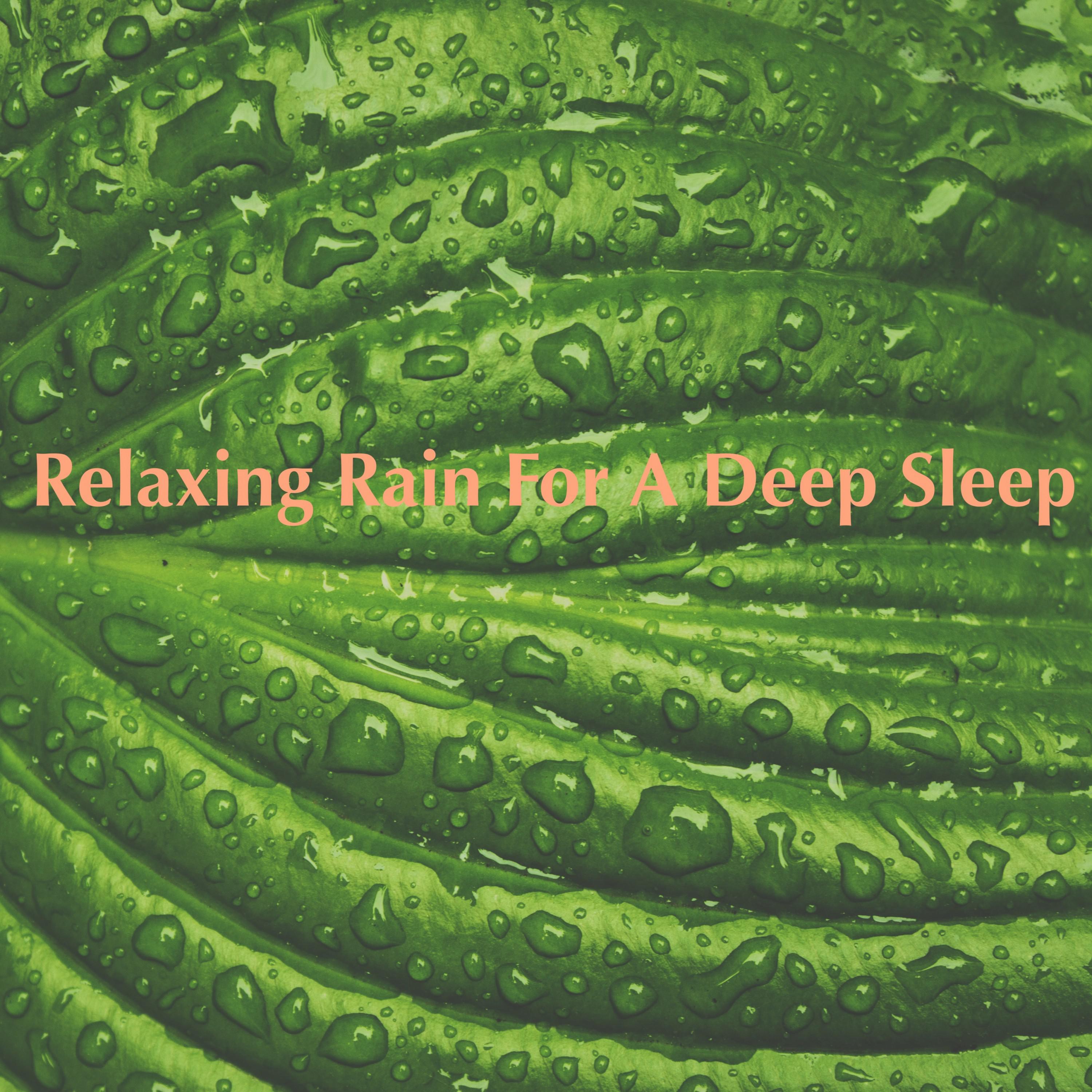 Relaxing Rain for a Deep Sleep