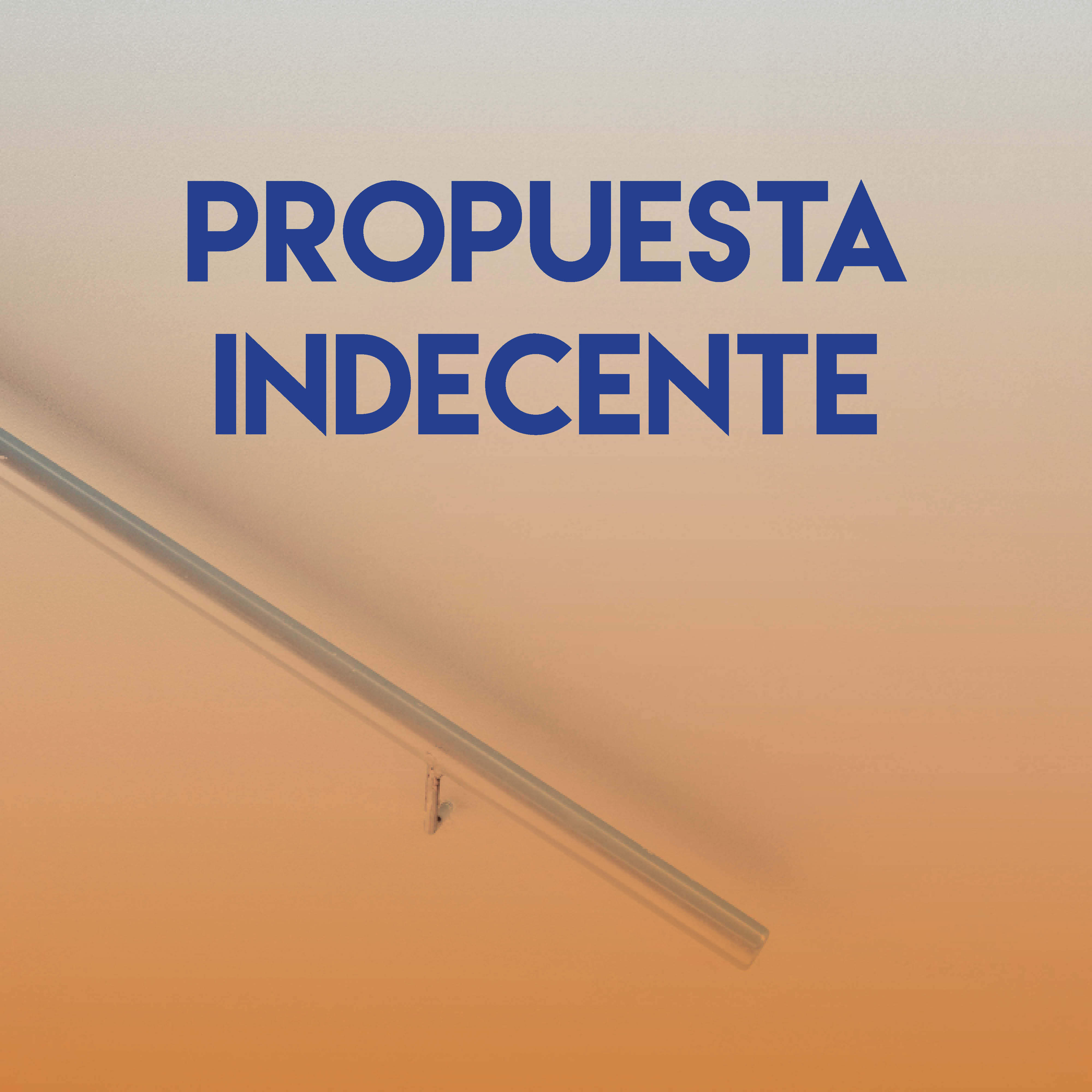 Propuesta Indecente