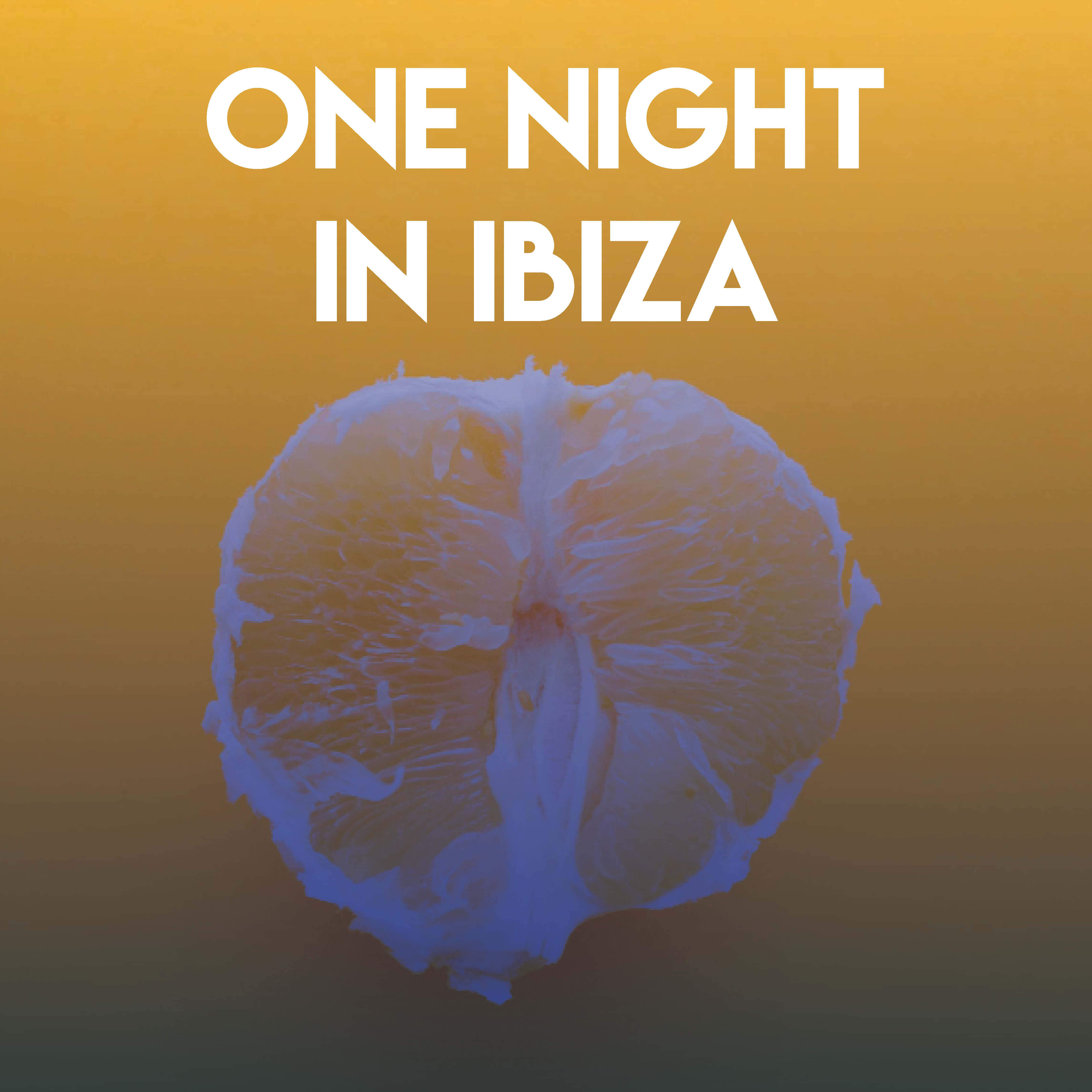 One Night in Ibiza