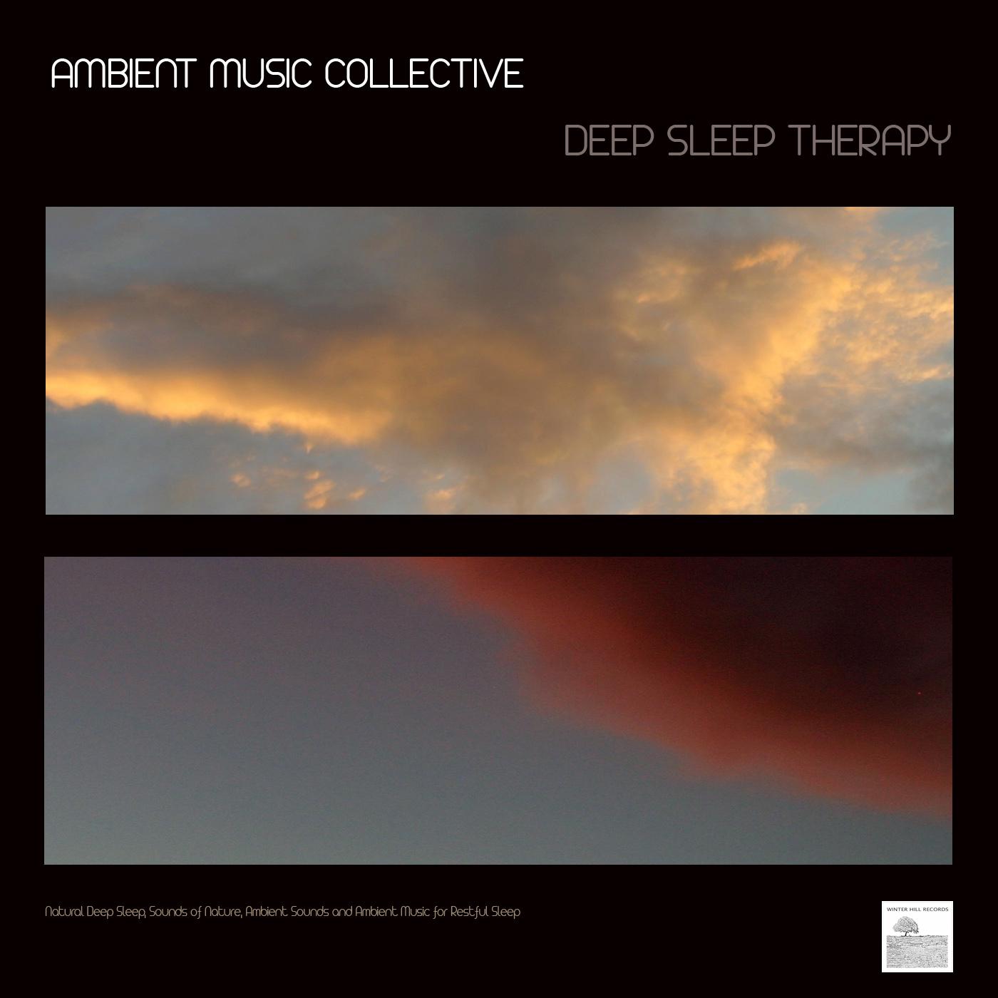 Deep Sleep Therapy - Natural Deep Sleep, Sounds of Nature, Ambient Sounds and Ambient Music for Restful Sleep. Ambient Music