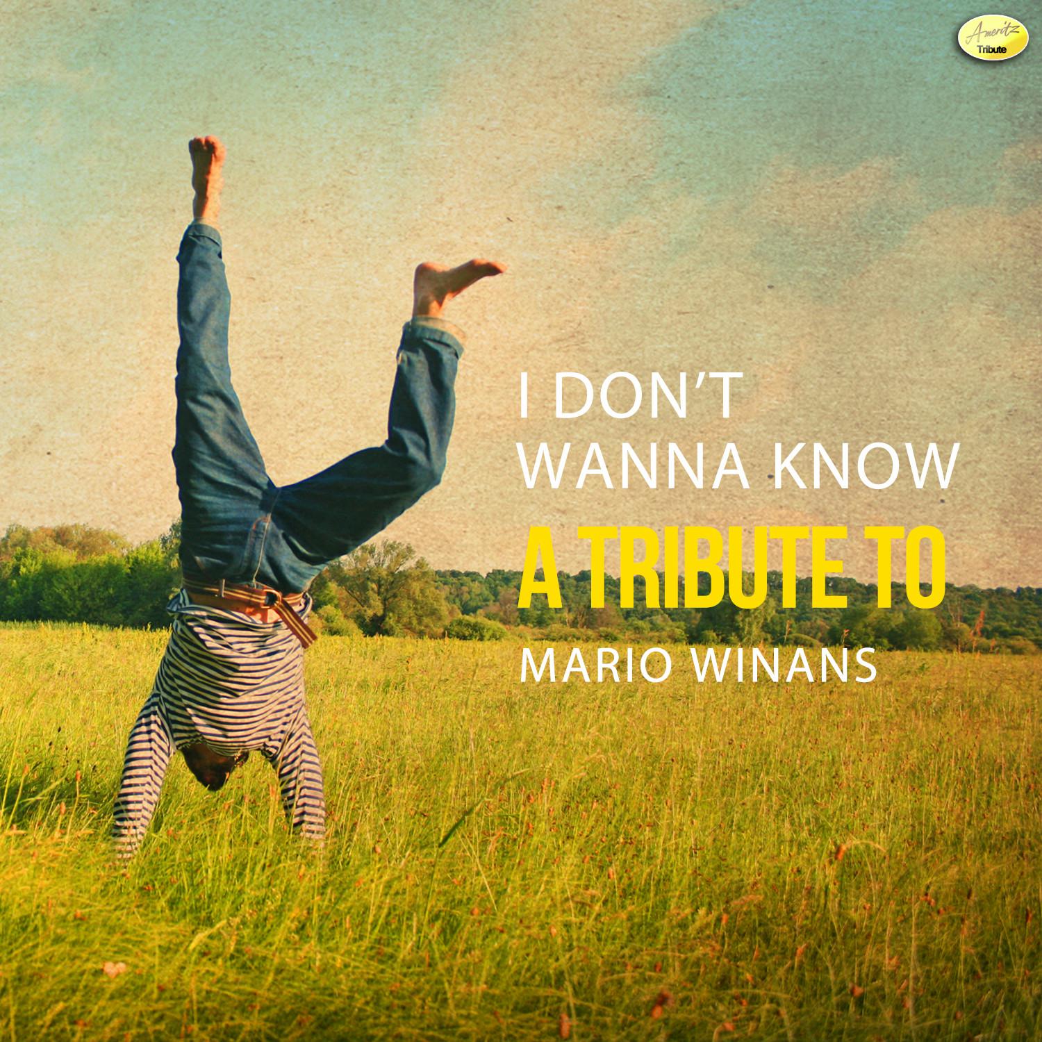 I Don't Wanna Know - A Tribute to Mario Winans - Single