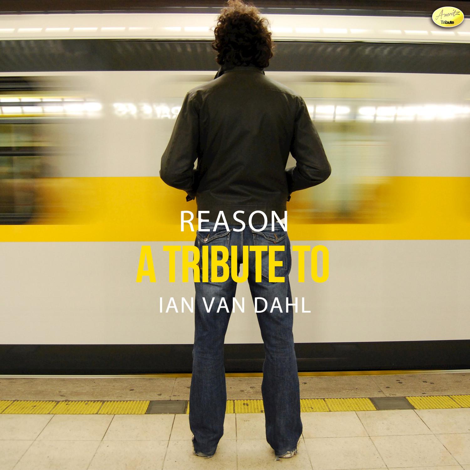 Reason - A Tribute to Ian Van Dahl