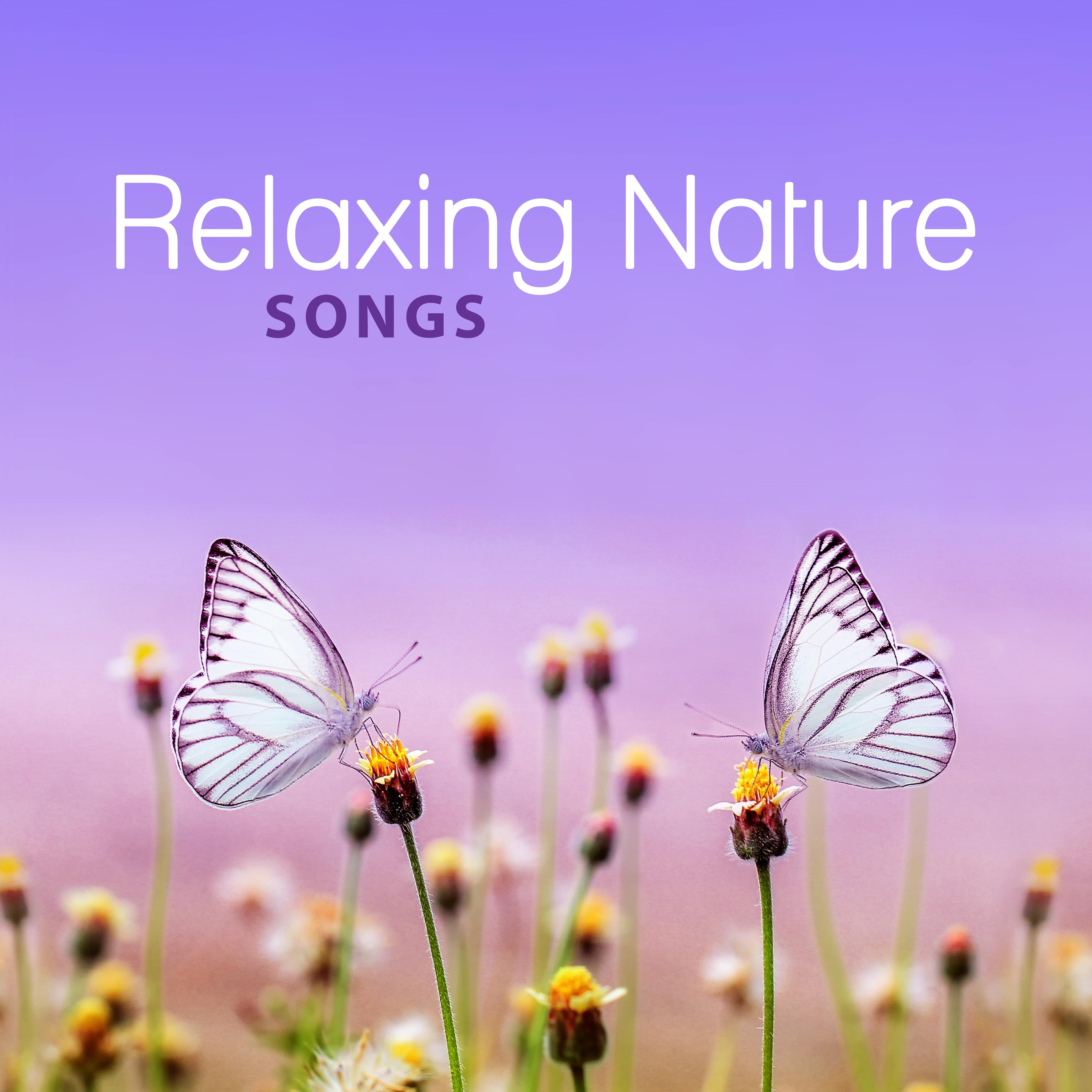 Relaxing Nature Songs  Soothing New Age Music for Relaxation, Relaxing Music, Relieve Stress, Calm Down