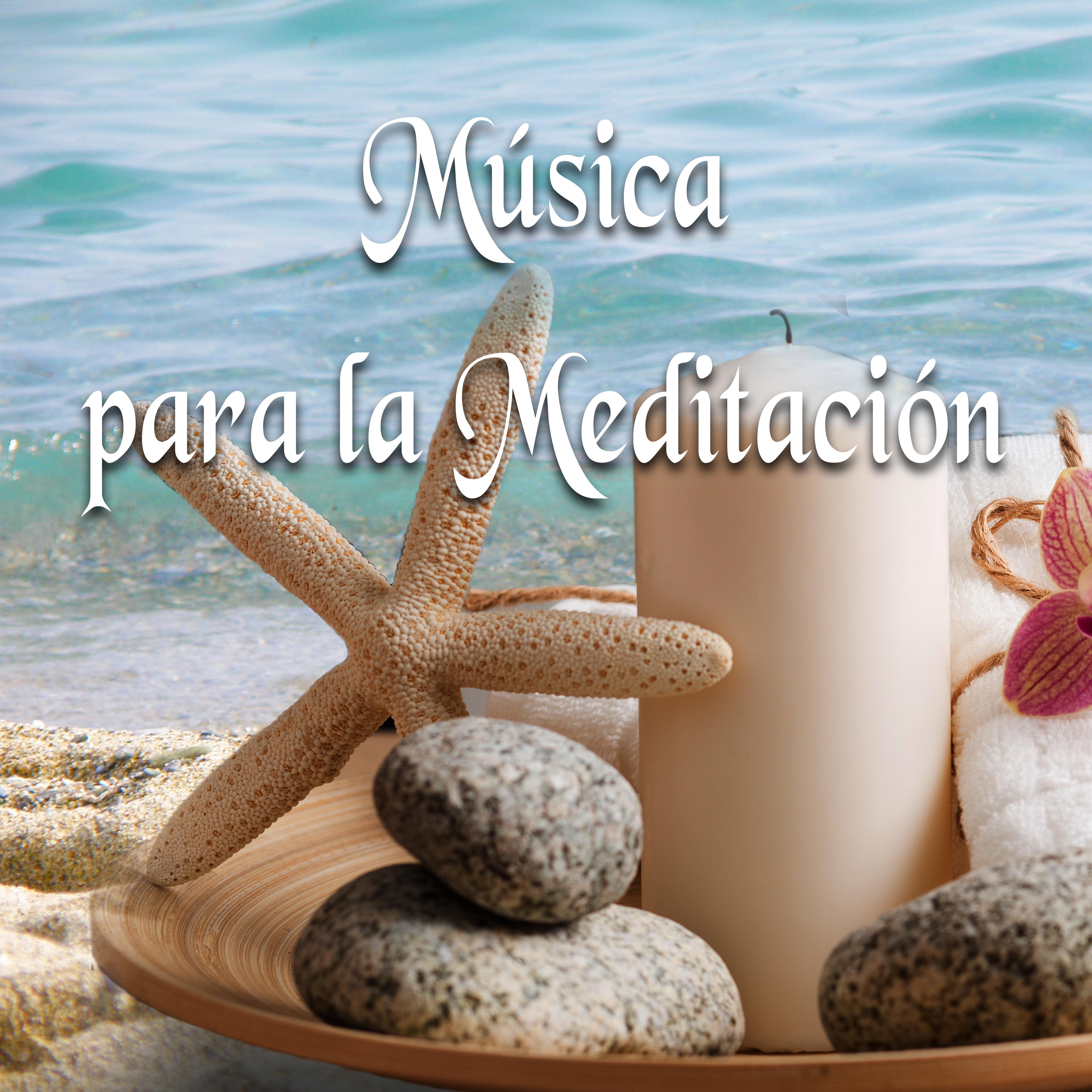 Mu sica para la Meditacio n  Sanar el Alma, La Pra ctica del Yoga, la Paz y la Calma Interior, Meditar y Sentirse Bien, los Ejercicios de Pilates y Tai Chi, el Equilibrio del Cuerpo, Sonidos de la Naturaleza