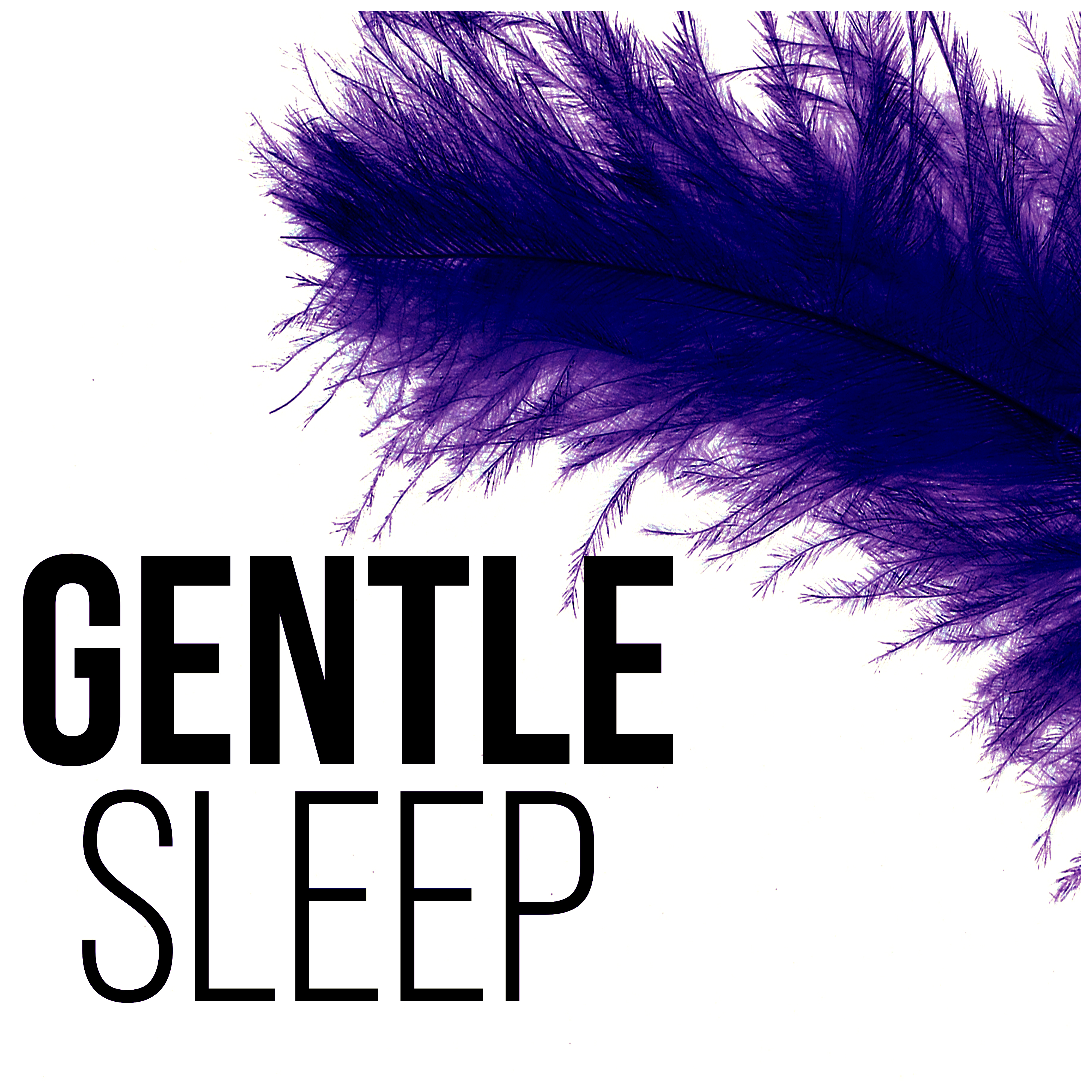 Gentle Sleep  Therapy New Age, Restful Sleep, Calming Music, Background Music, Dream Sleep