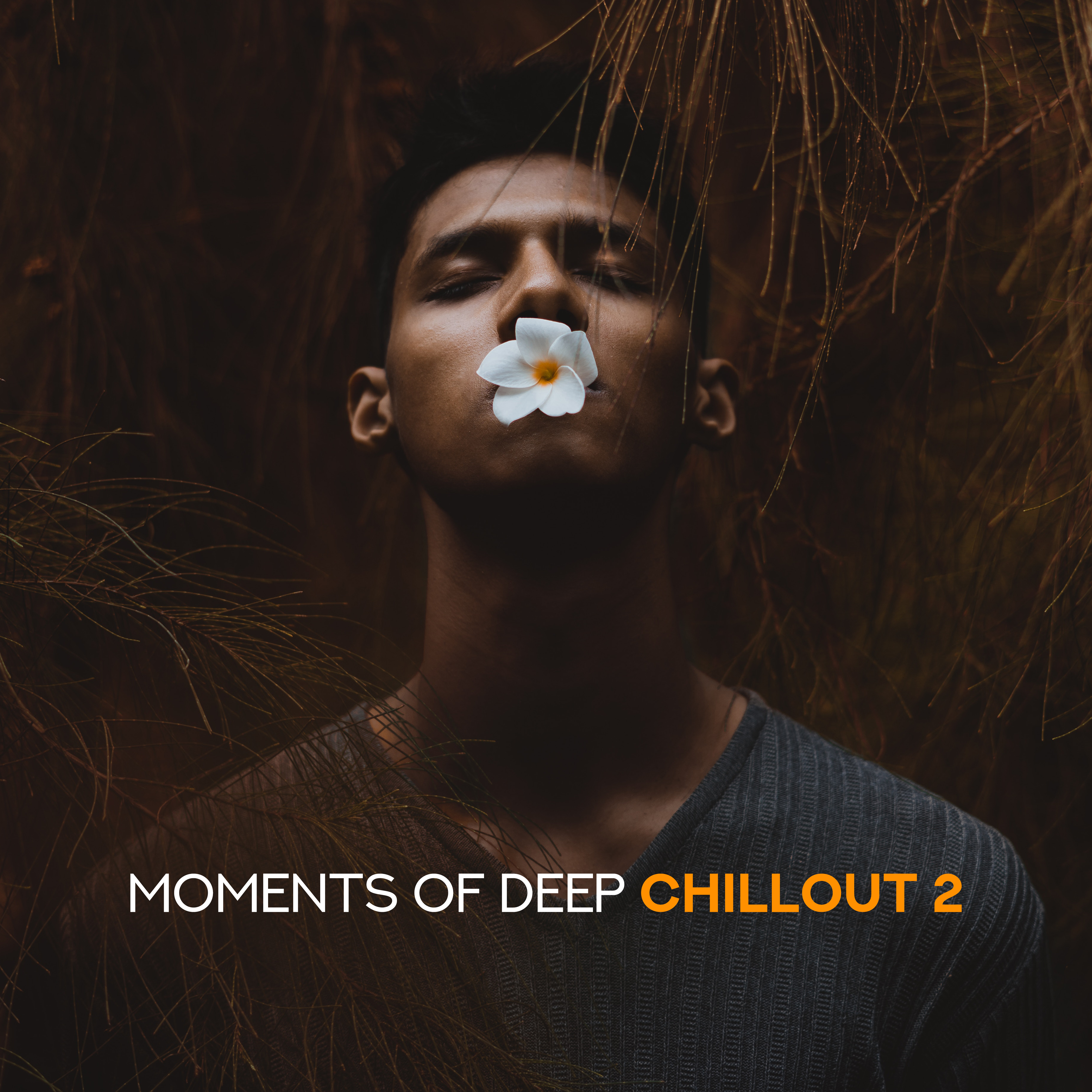 Moments of Deep Chillout 2