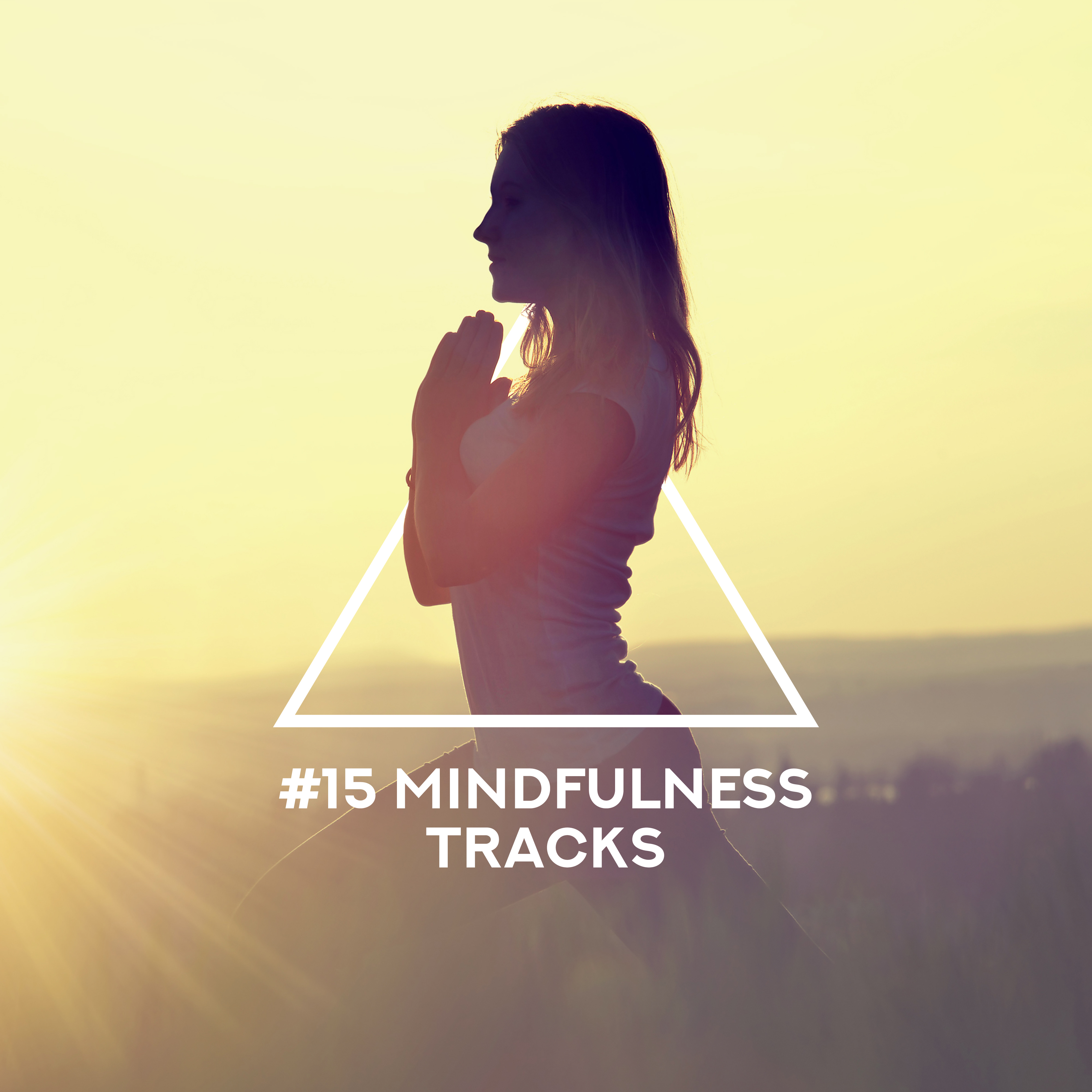 15 Mindfulness Tracks  Relaxing Music for Yoga, Meditation, Relax Zone, Pure Relaxing Meditation, Inner Harmony, Meditation Music Zone, Yoga Relaxations