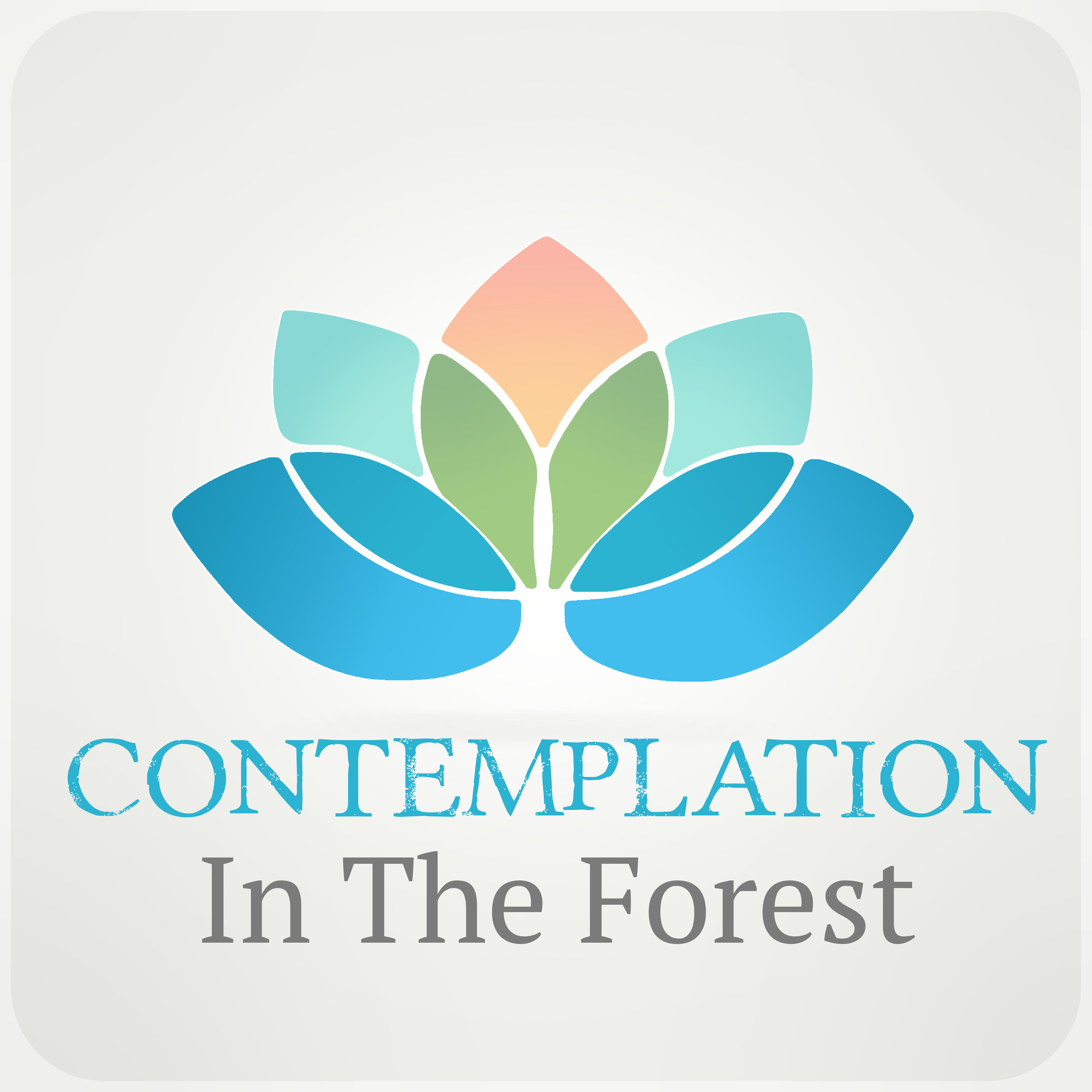 Contemplation in The Forest  Yoga Music, Surya Namaskar, Asana Positions, Meditation and Relaxation Music, Welness and SPA