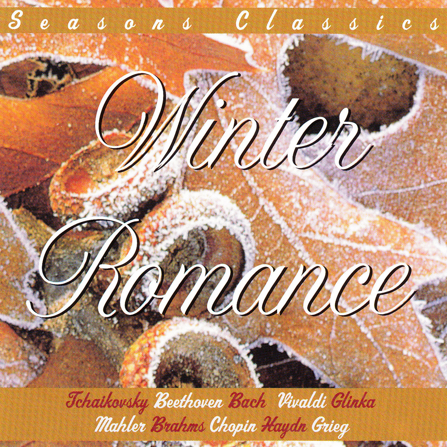 Concerto for Violin and Strings, Op. 8: Four Seasons No. 4 "Winter" in F Minor Allegro