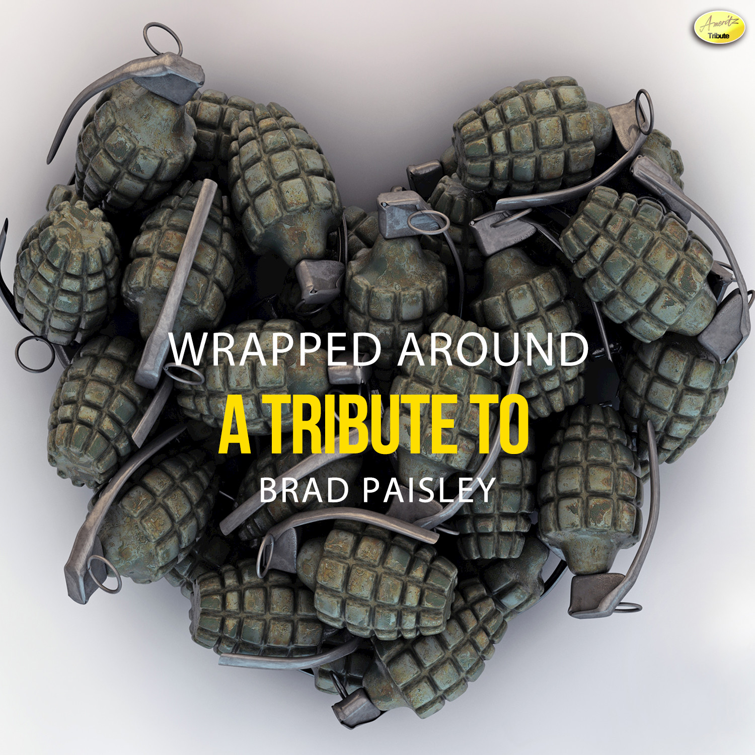 Wrapped Around - A Tribute to Brad Paisley, Vol. 2