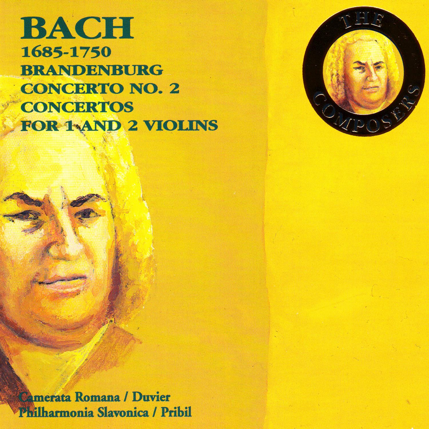 Concerto for Violin, Strings and Basso, BWV 1041: Andante