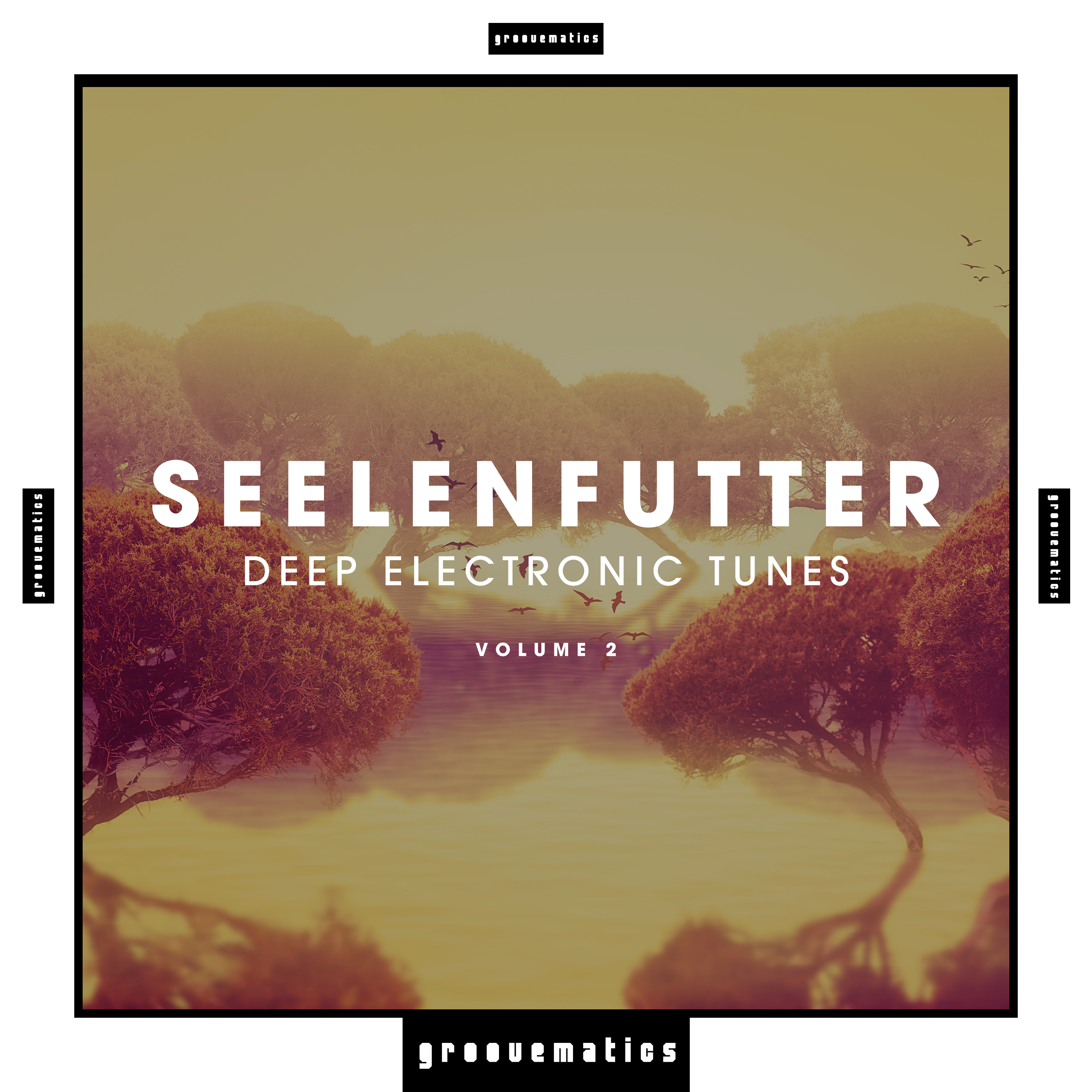 SeelenFutter(Deep Electronic Tunes), Vol. 2