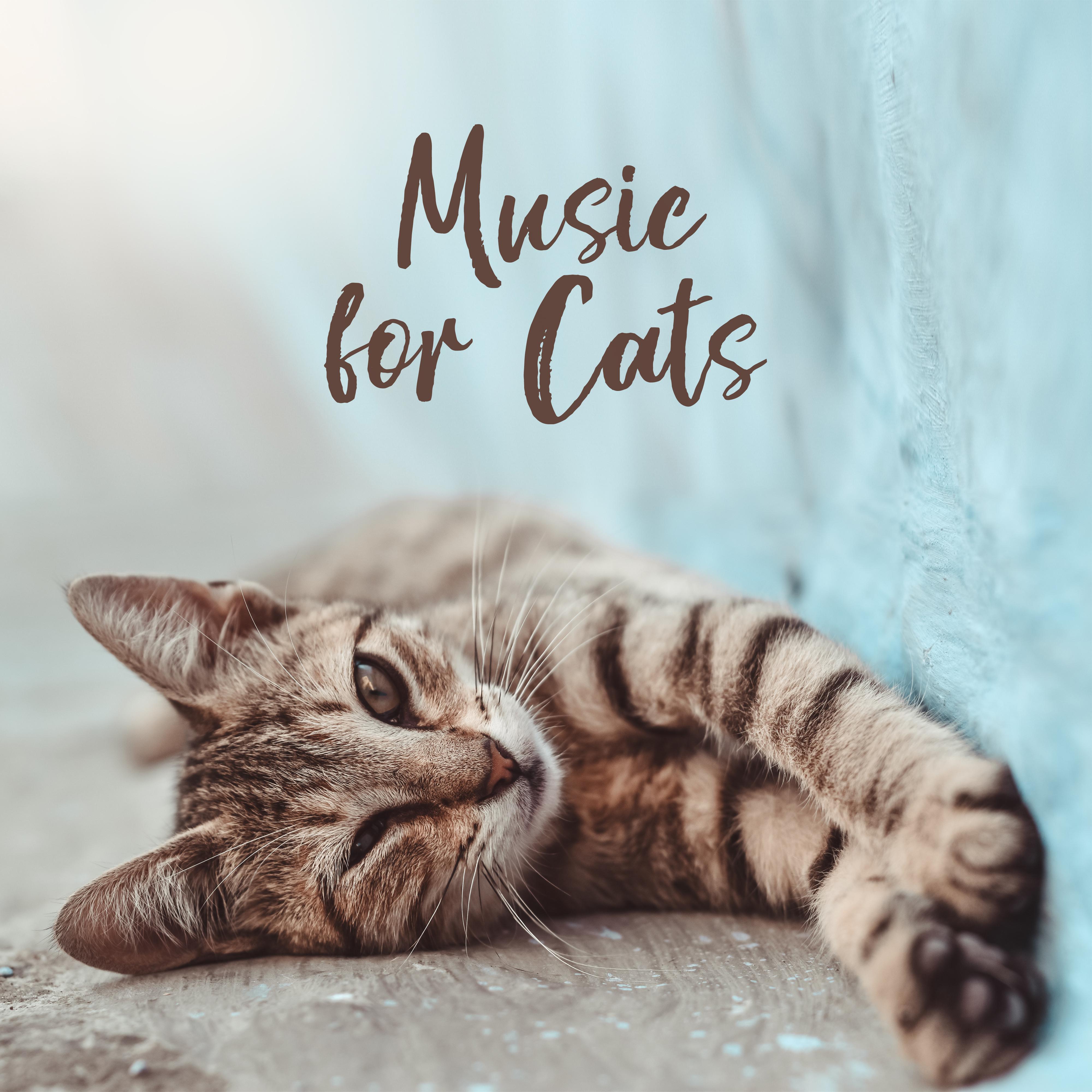 Music for Cats - Cat-friendly Melodies, Created to Relax, De-stress, Sleep and Rest for Your Kitty