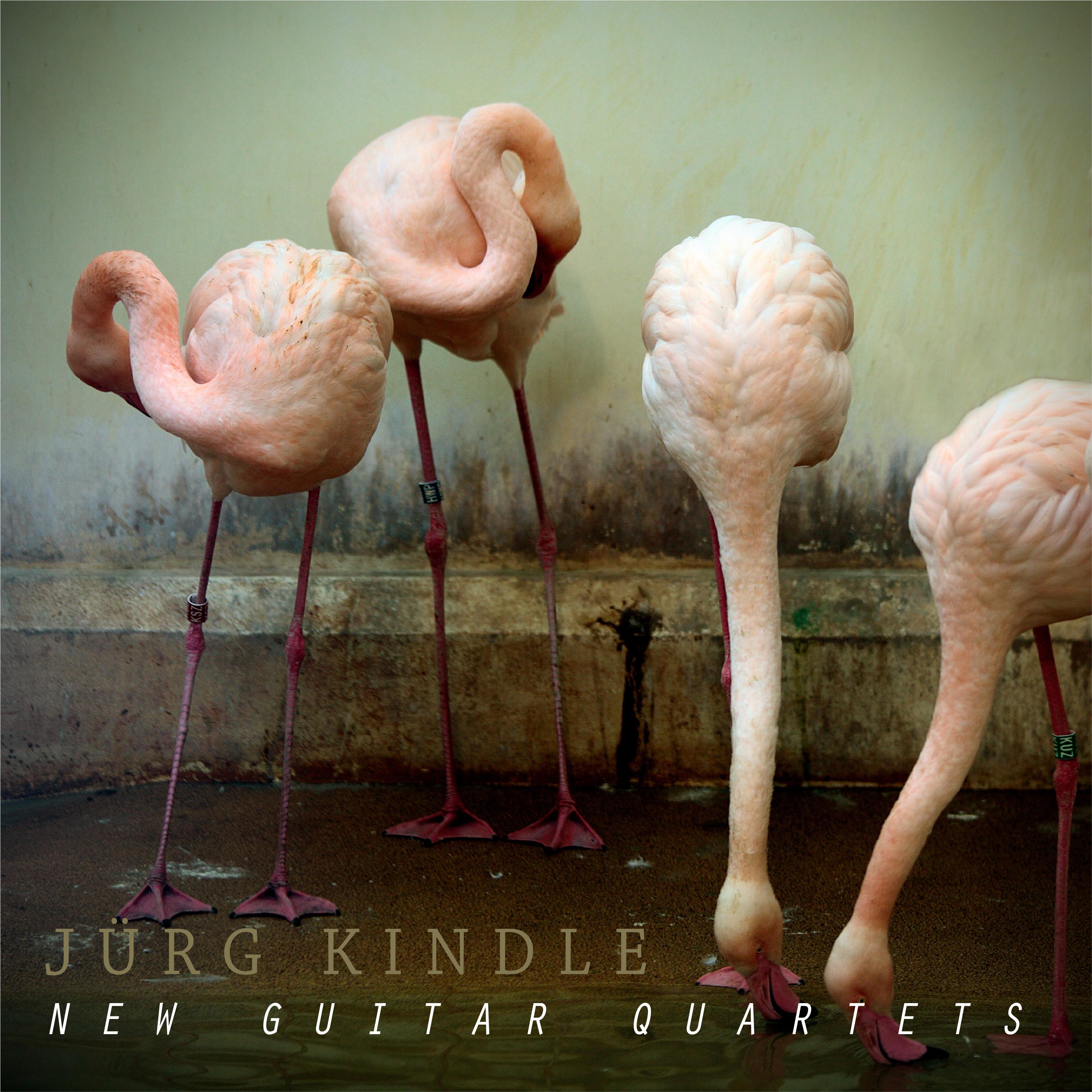 New Guitar Quartets