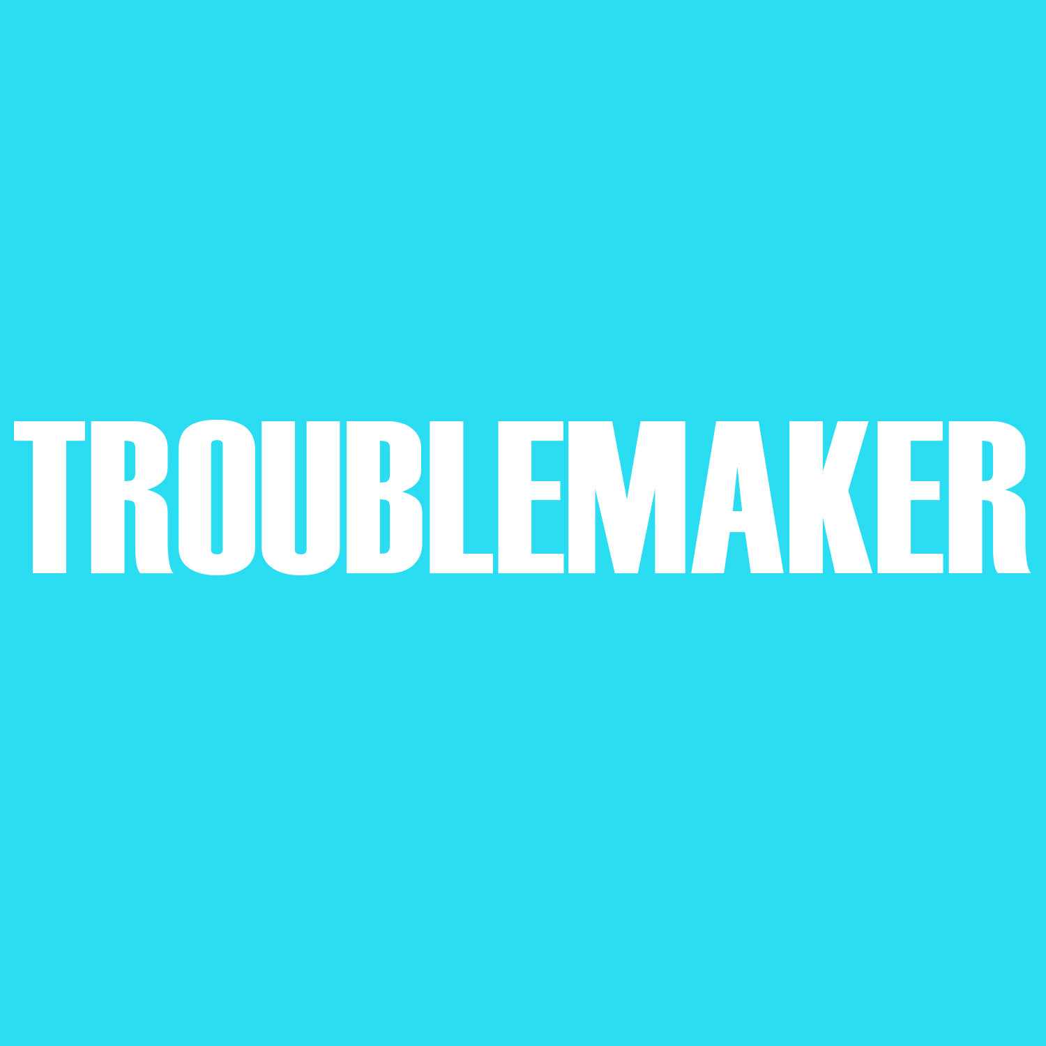 Troublemaker
