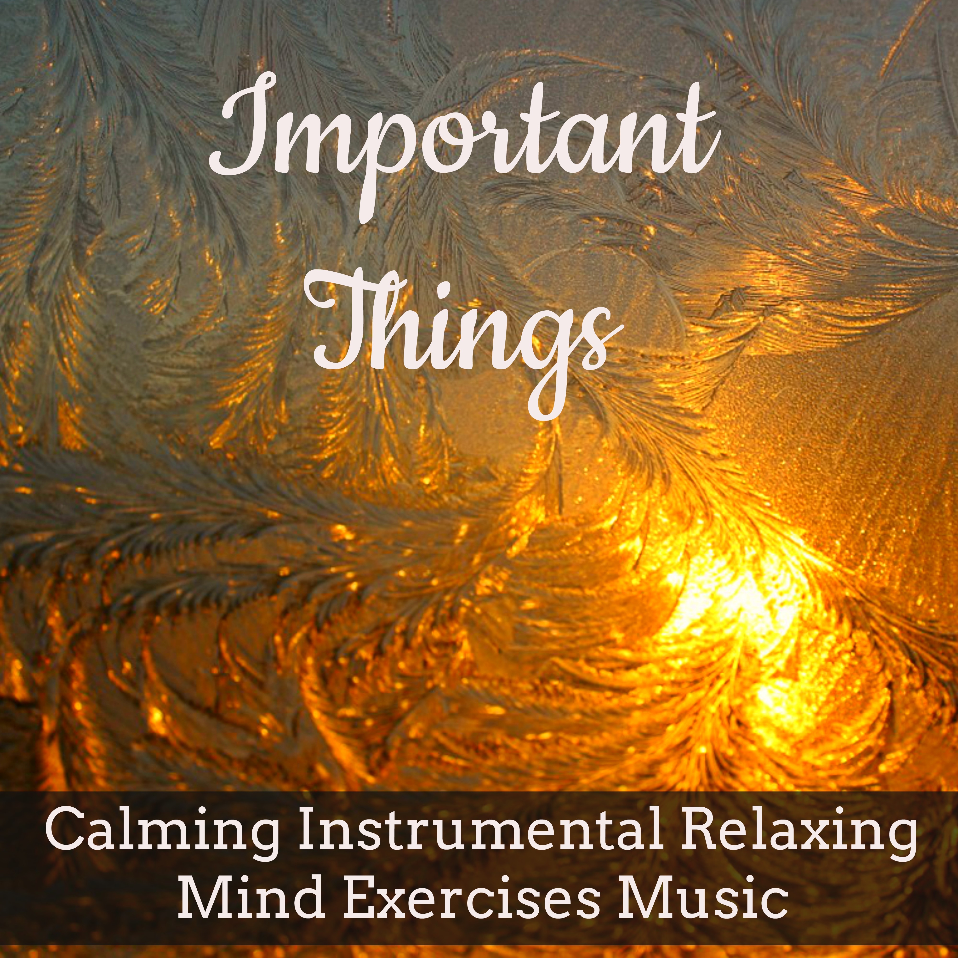Important Things - Calming Instrumental Relaxing Mind Exercises Music for Happy Christmas Silent Night Stay Together with Nature Sweet Meditative Sounds