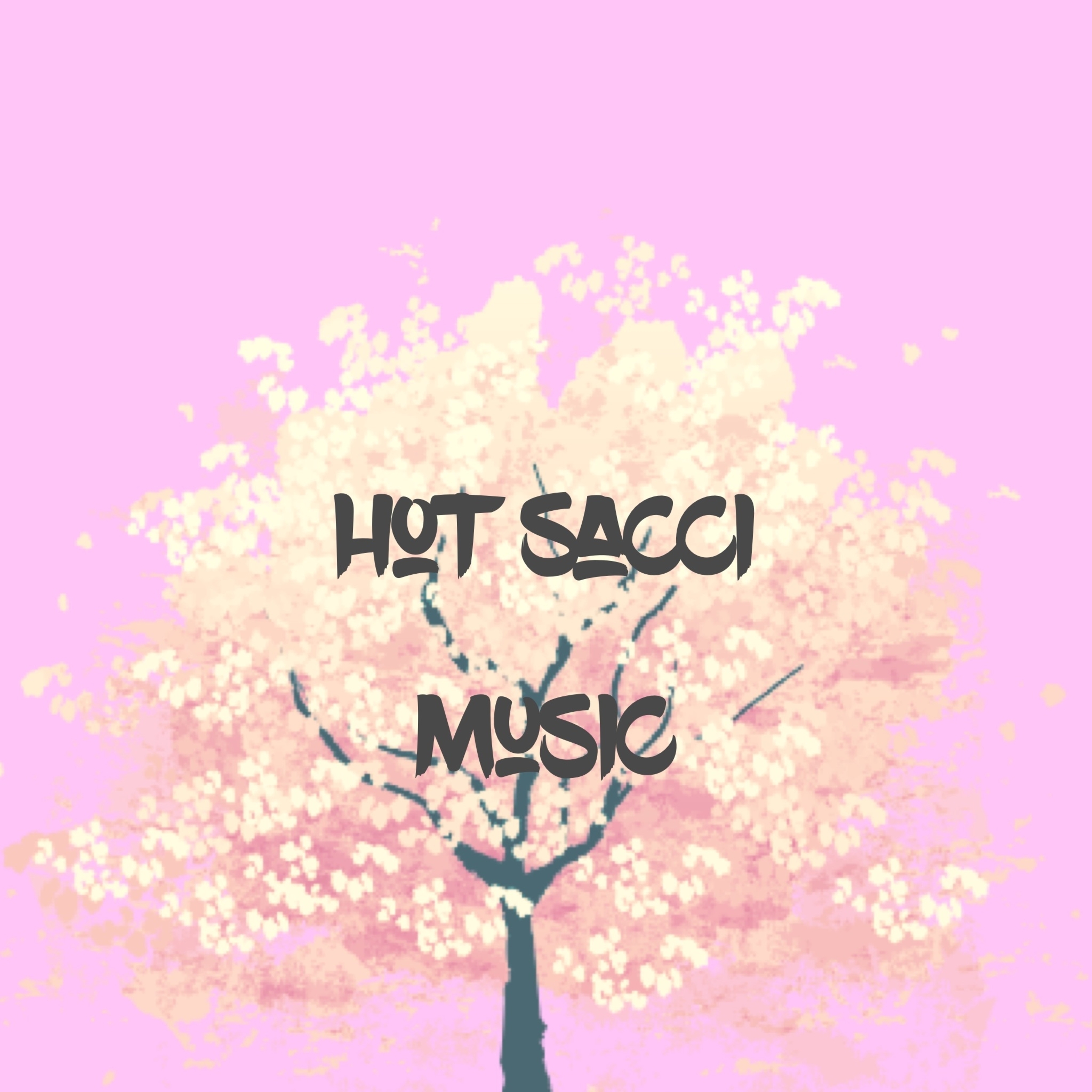 Hot Sacci Music - The EP